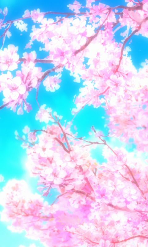 無料モバイル壁紙桜の花, さくら, アニメ, 氷菓をダウンロードします。