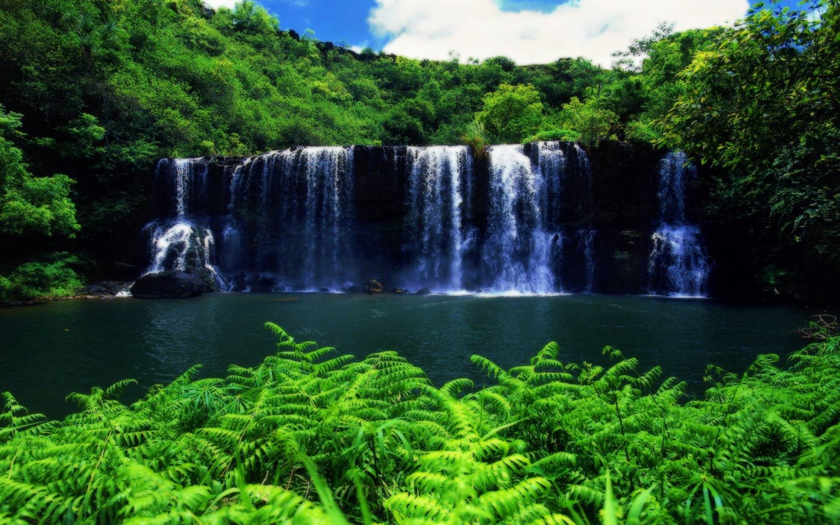 Скачать обои бесплатно Водопады, Водопад, Дерево, Зеленый, Hdr, Гавайи, Земля/природа картинка на рабочий стол ПК