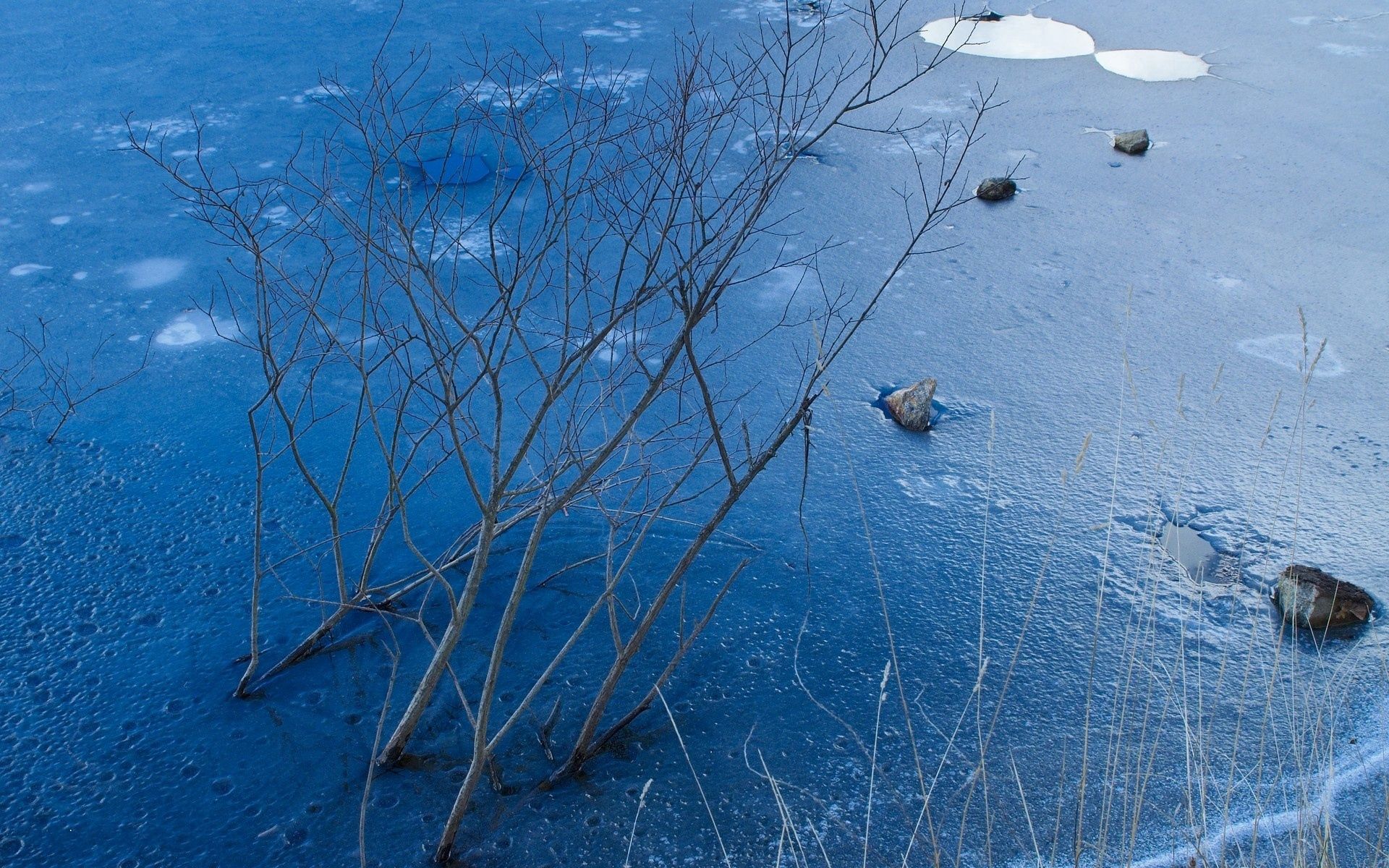 winter, branches, nature, water, stones, ice, bush, frost, pond, basin Desktop Wallpaper