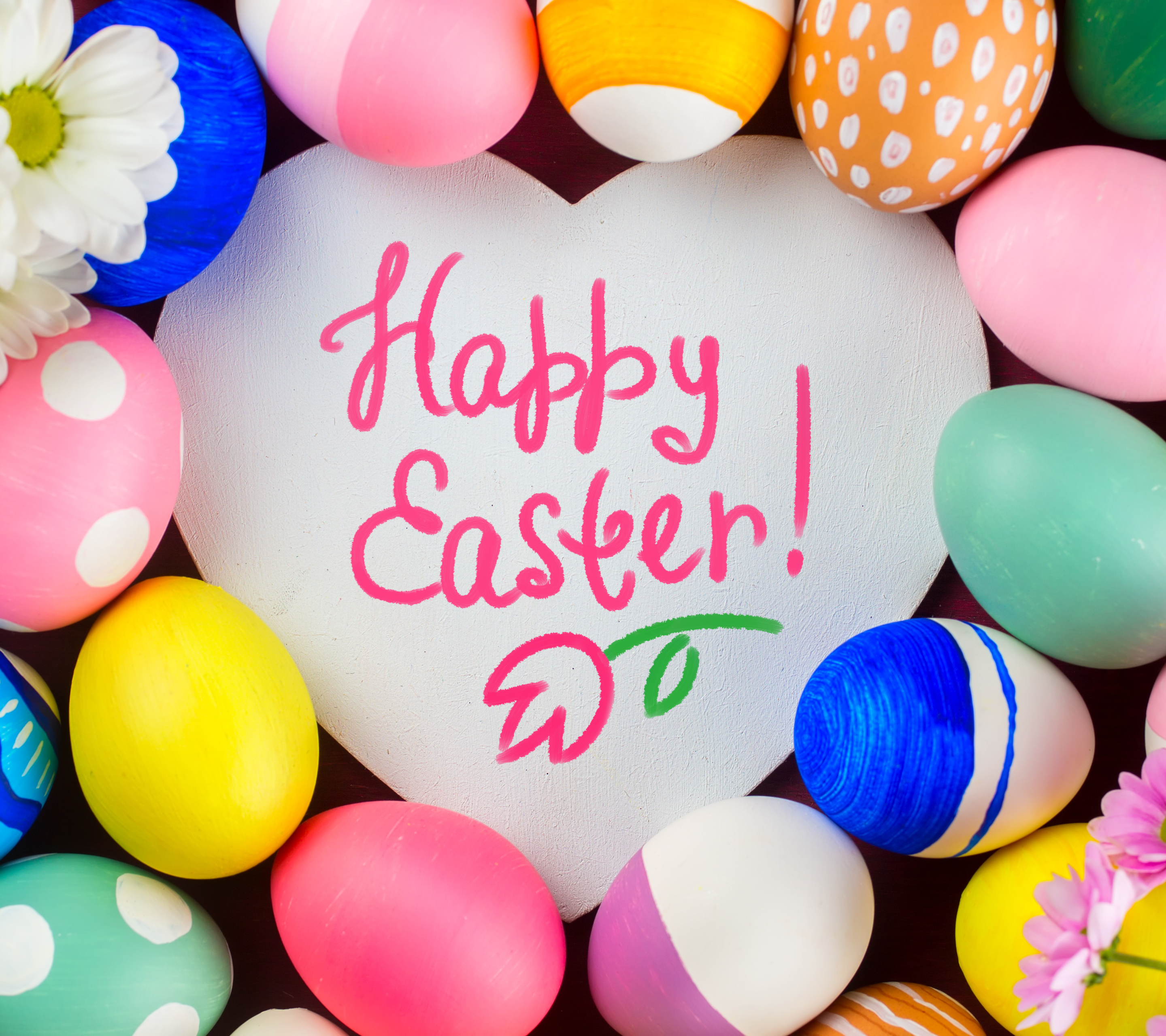 Laden Sie das Feiertage, Ostern, Chrysantheme, Farben, Bunt, Ei, Hühnerei, Osterei, Chrysanthemen, Frohe Ostern-Bild kostenlos auf Ihren PC-Desktop herunter