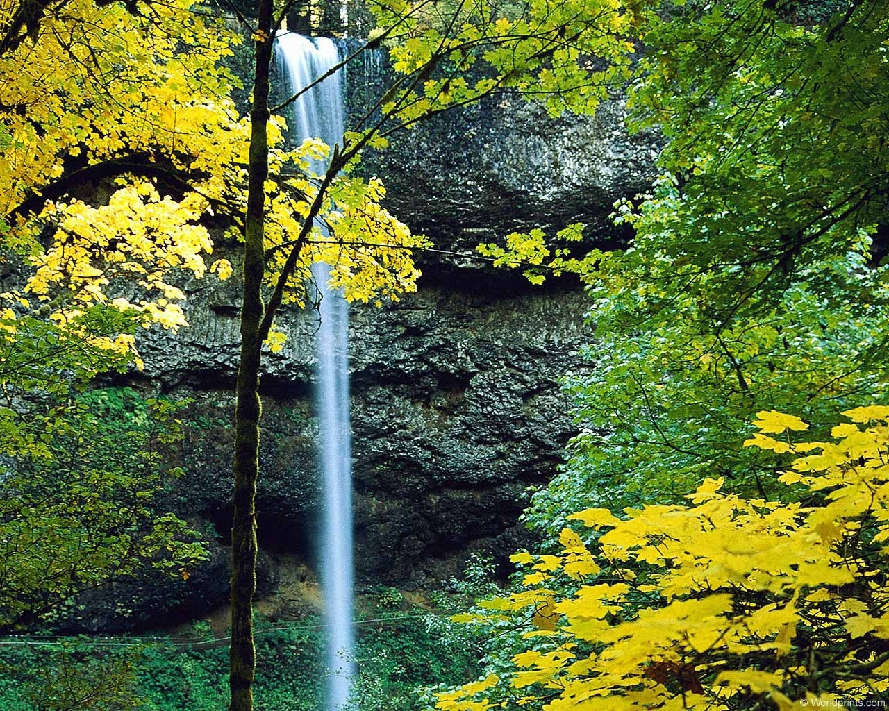 無料モバイル壁紙木, 秋, 風景, 滝をダウンロードします。