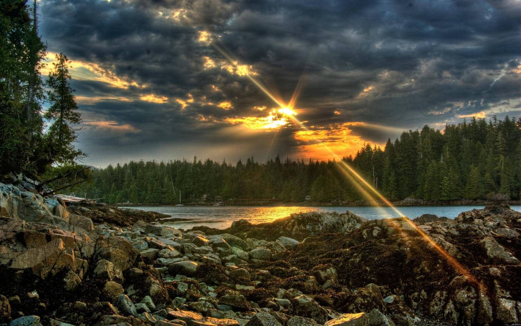 mainly cloudy, overcast, stones, nature, sun, clouds, lake, beams, rays, forest, evening for android
