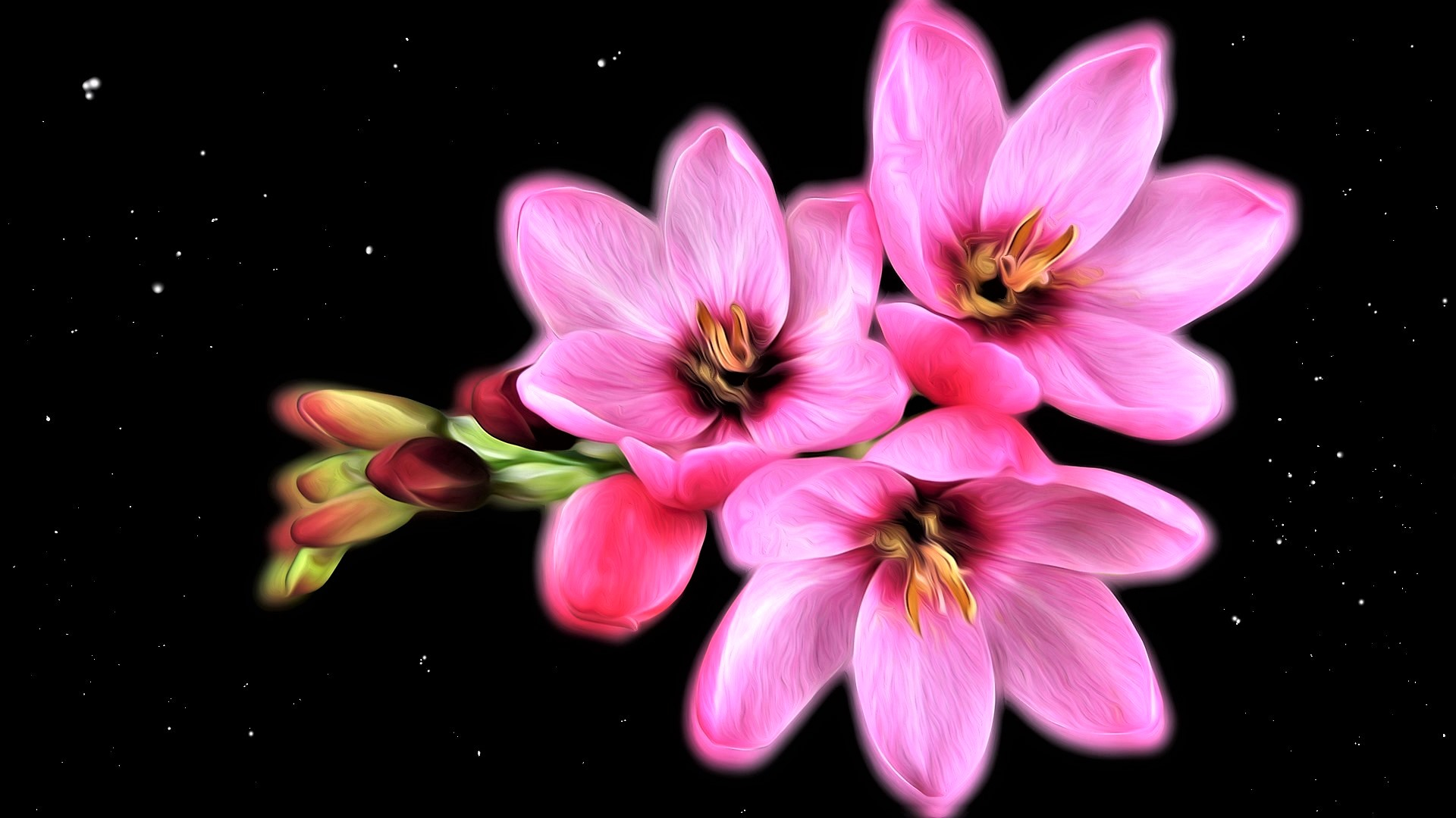 Laden Sie das Blumen, Blume, Künstlerisch, Cgi, Pinke Blume-Bild kostenlos auf Ihren PC-Desktop herunter