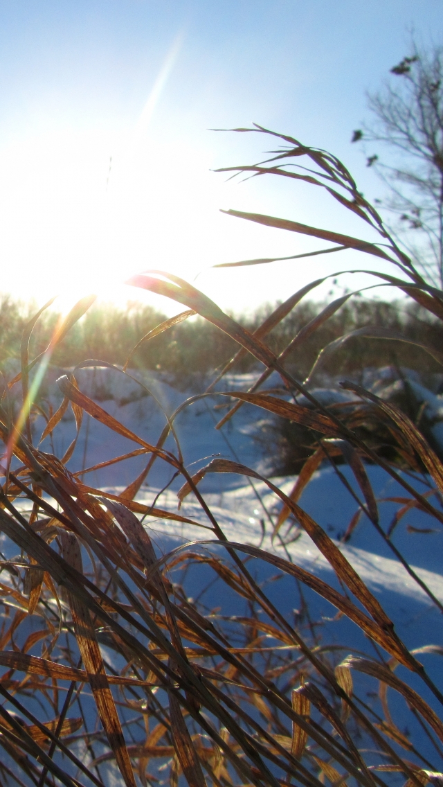 Handy-Wallpaper Winter, Erde/natur kostenlos herunterladen.