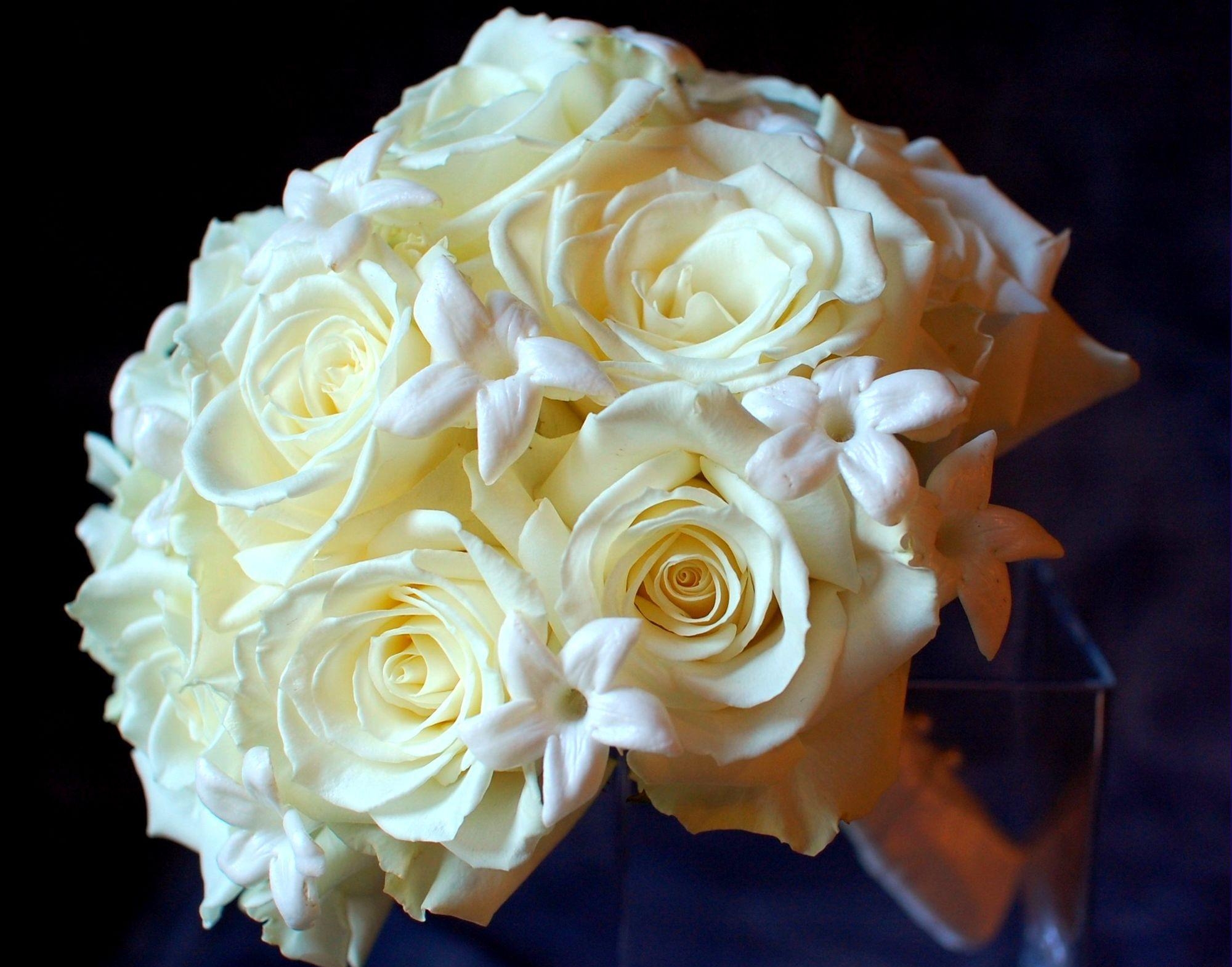 Téléchargez des papiers peints mobile Fleurs, Blanc Comme Neige, Bouquet, Tendresse, Roses gratuitement.