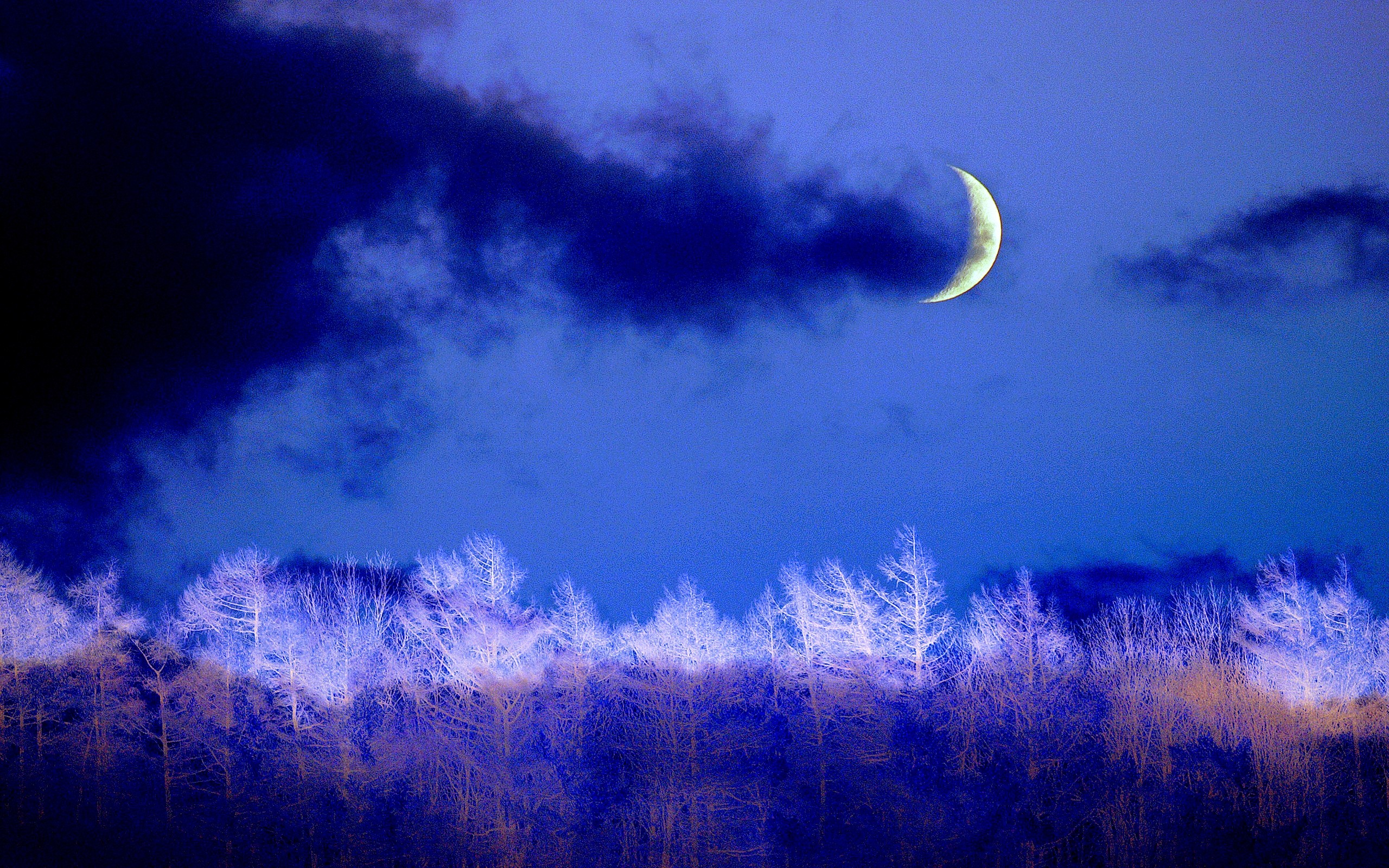 earth, night, blue, cloud, crescent, moon, tree, winter