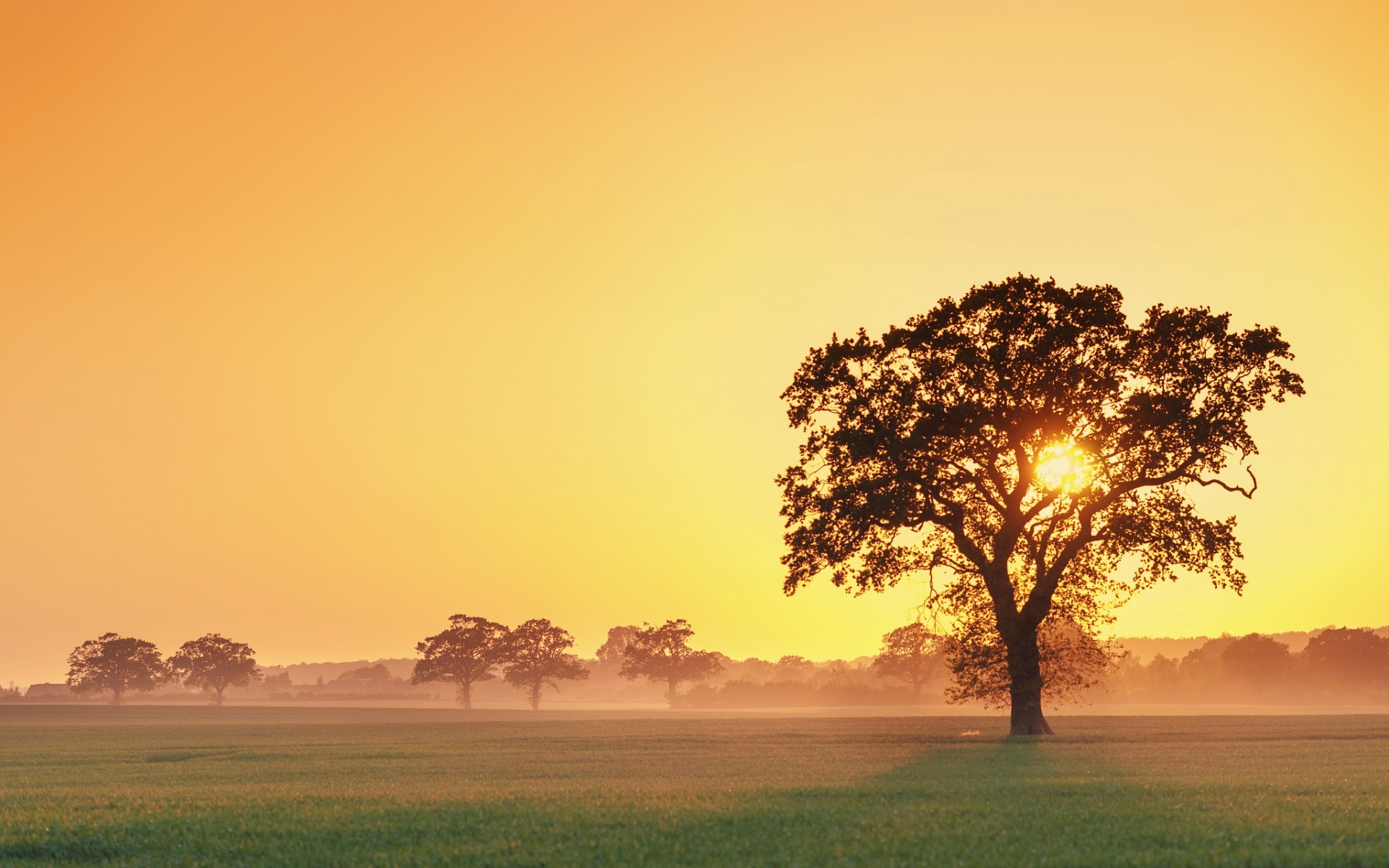 Laden Sie das Landschaft, Natur, Sunset-Bild kostenlos auf Ihren PC-Desktop herunter