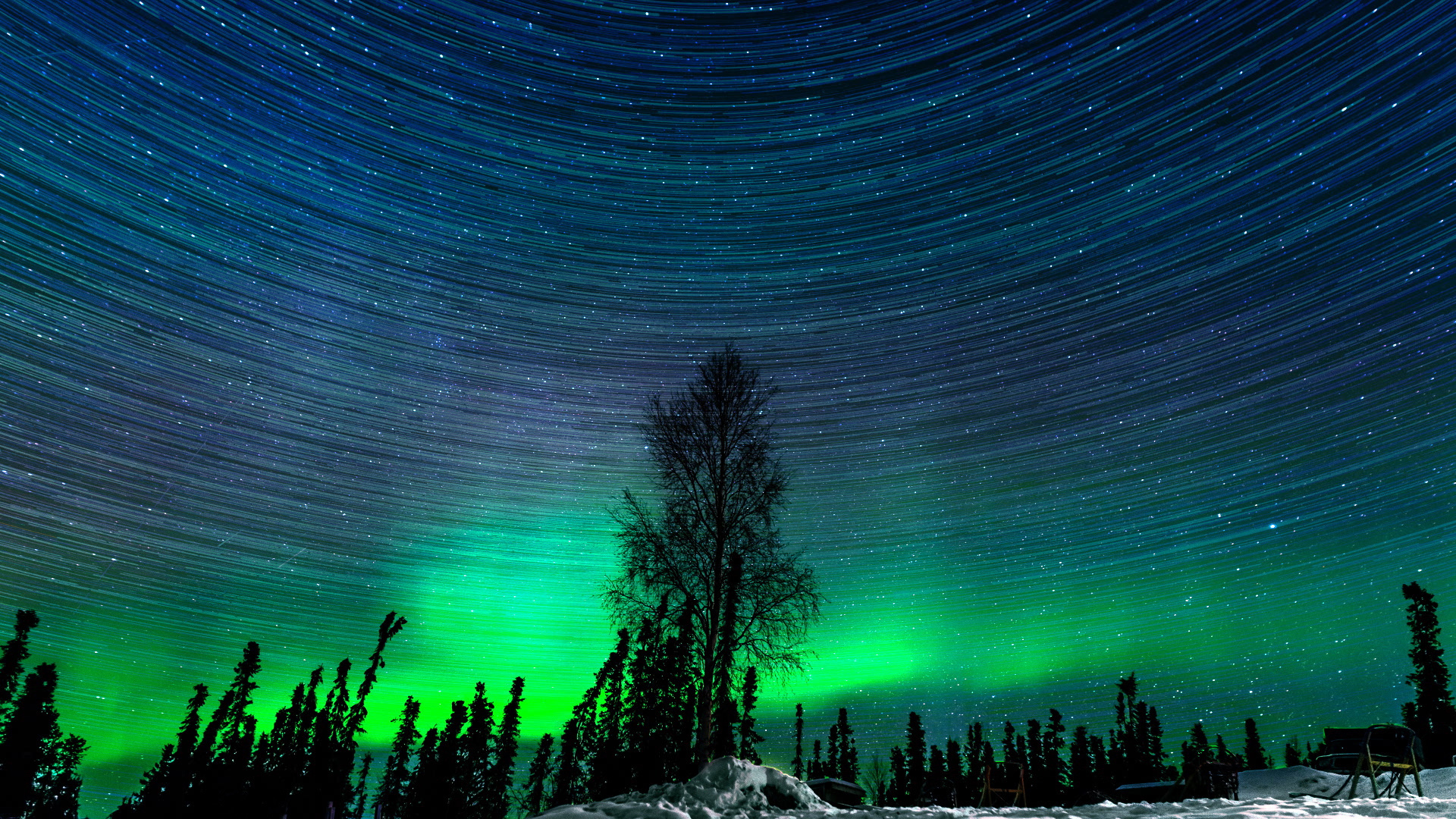 689500 baixar papel de parede terra/natureza, aurora boreal, alasca, natureza, céu estrelado, árvore - protetores de tela e imagens gratuitamente