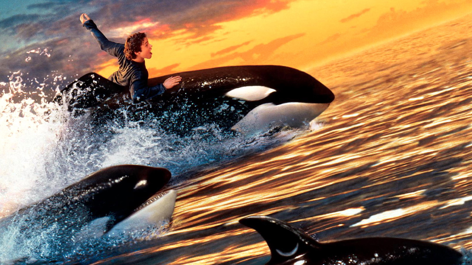 Download mobile wallpaper Movie, Free Willy 2: The Adventure Home for free.