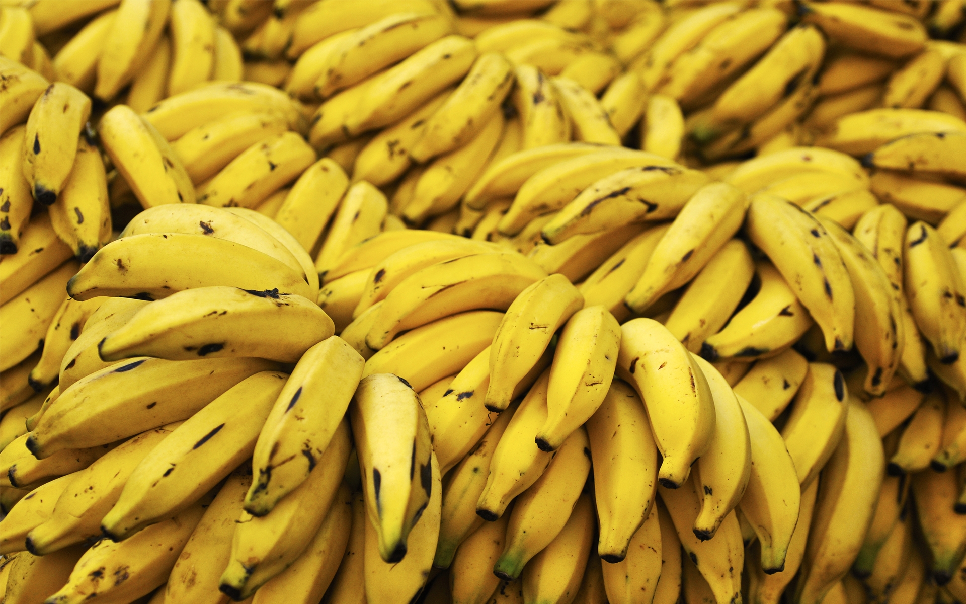 181732 baixar papel de parede comida, banana, frutas - protetores de tela e imagens gratuitamente
