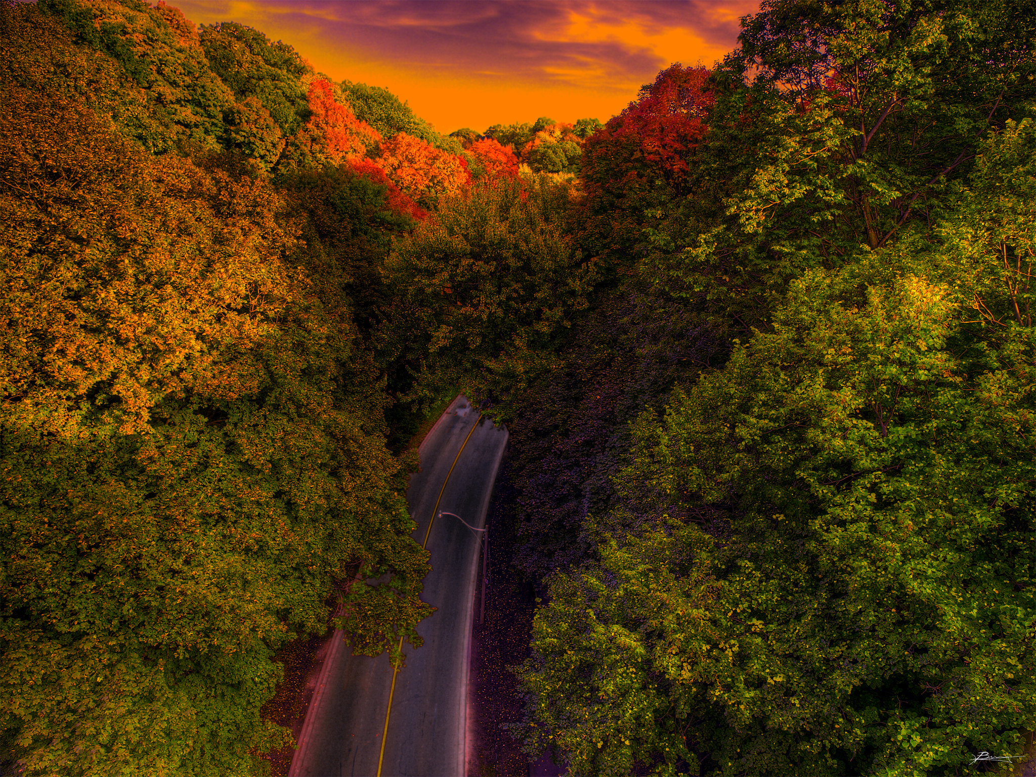 Handy-Wallpaper Herbst, Straße, Wald, Baum, Menschengemacht kostenlos herunterladen.