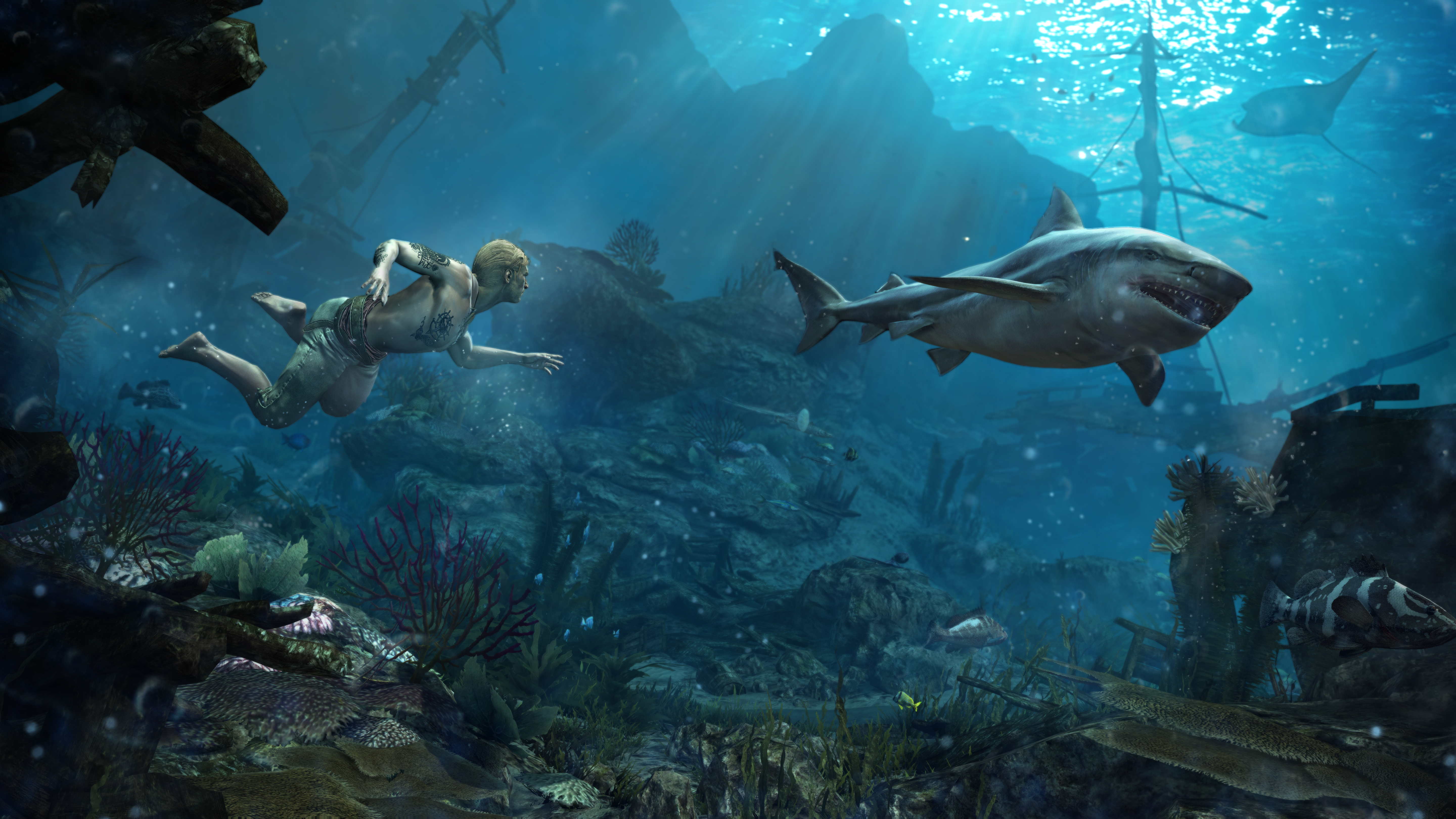 Free download wallpaper Assassin's Creed, Shark, Video Game, Assassin's Creed Iv: Black Flag on your PC desktop