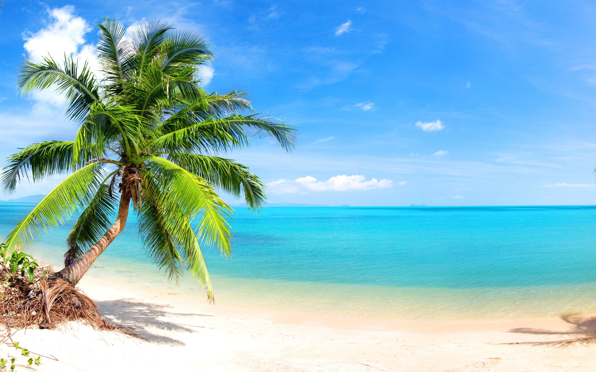 Baixe gratuitamente a imagem Mar, Praia, Horizonte, Oceano, Palmeira, Tropical, Terra/natureza na área de trabalho do seu PC