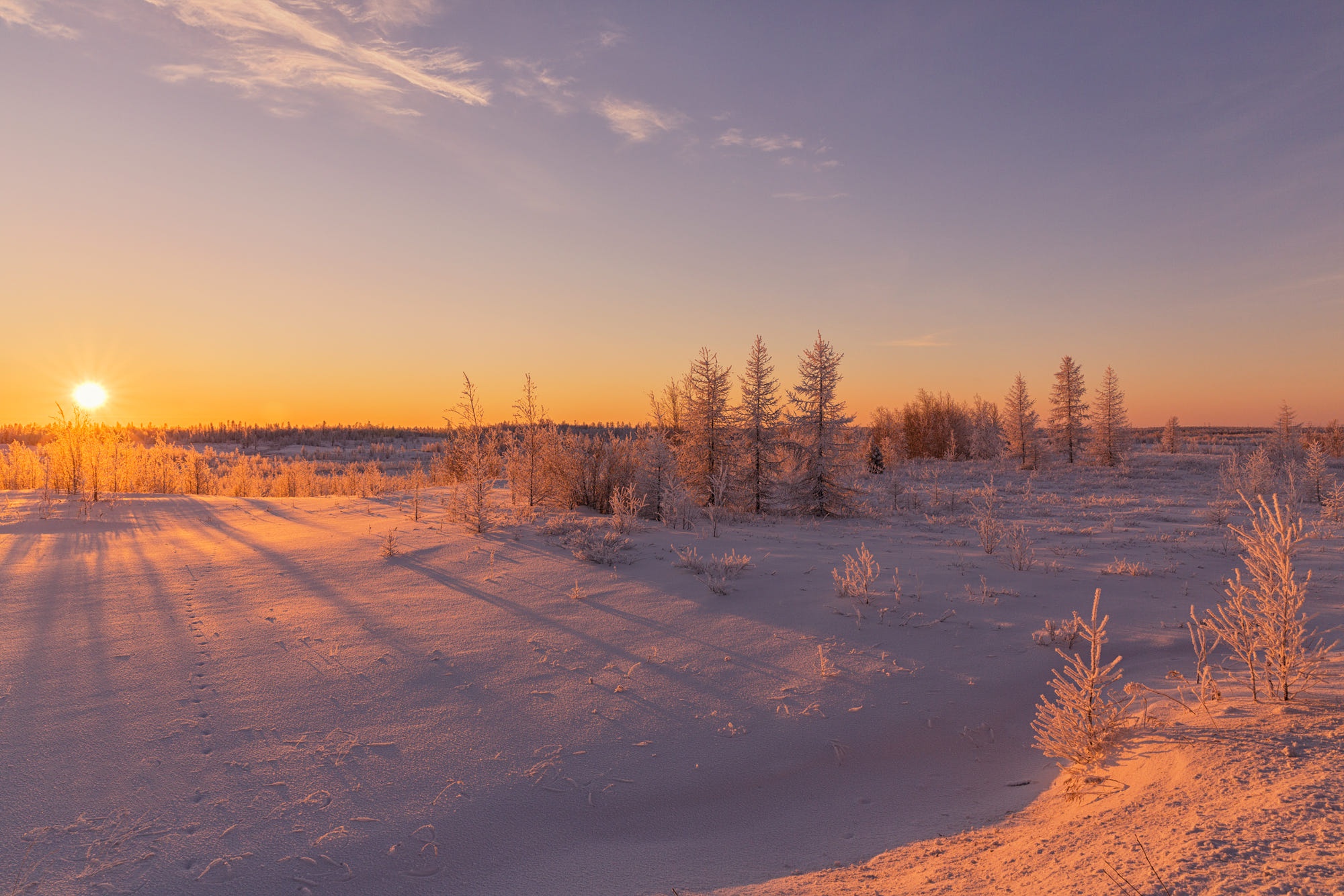 Free download wallpaper Winter, Sunset, Sky, Sun, Snow, Earth, Field on your PC desktop