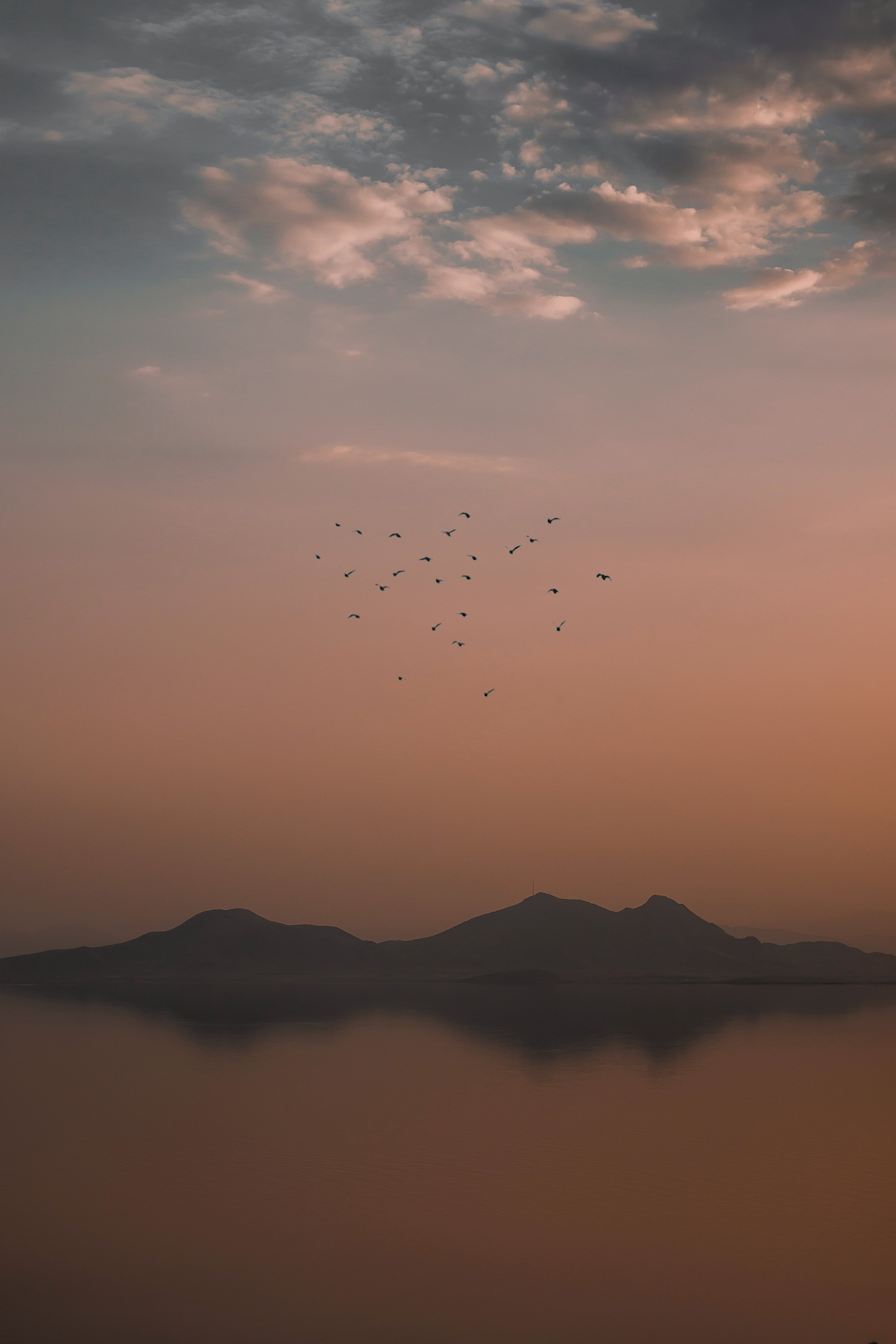 evening, nature, birds, mountains, clouds, fog Panoramic Wallpaper