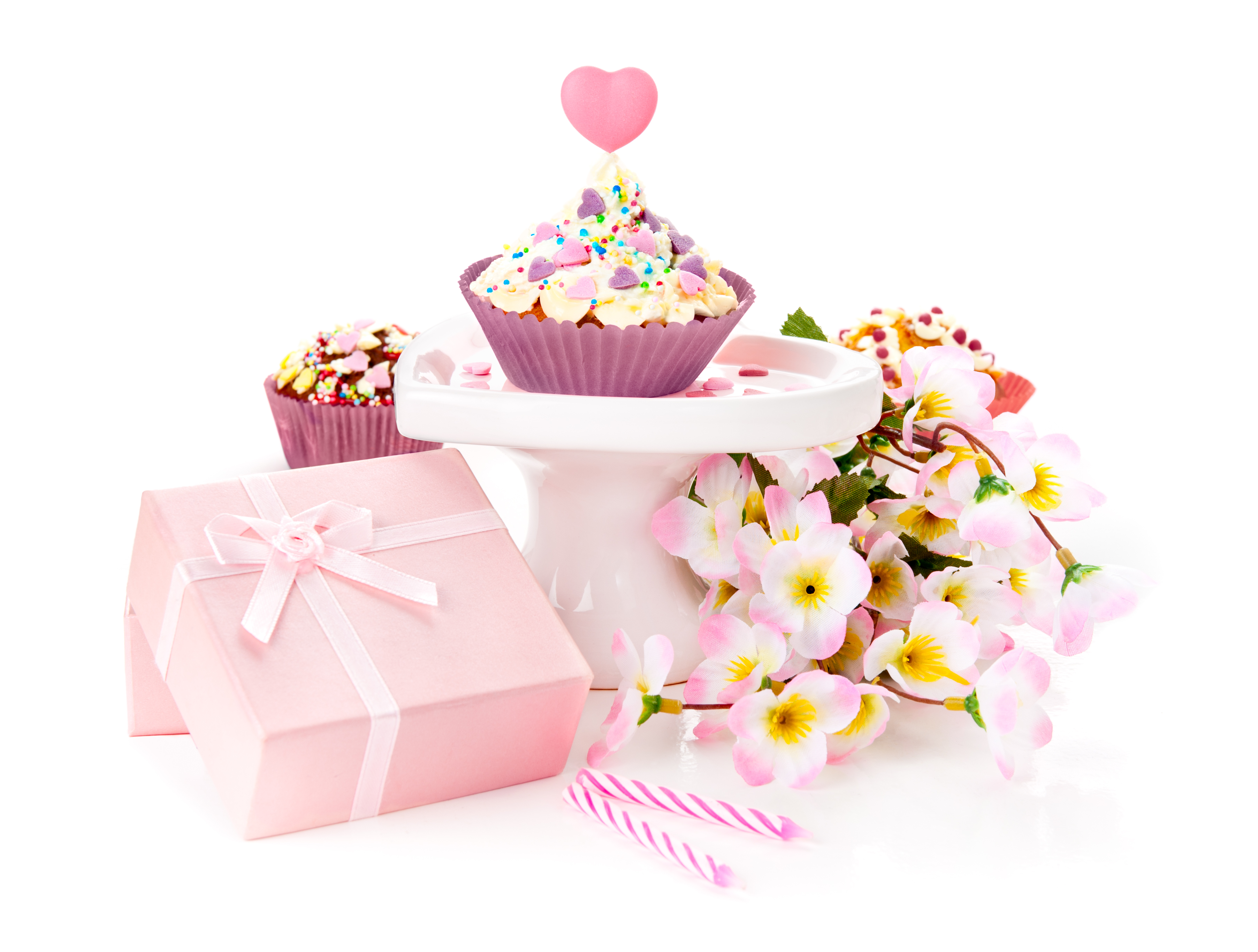 Download mobile wallpaper Flower, Holiday, Gift, Cupcake, Birthday for free.