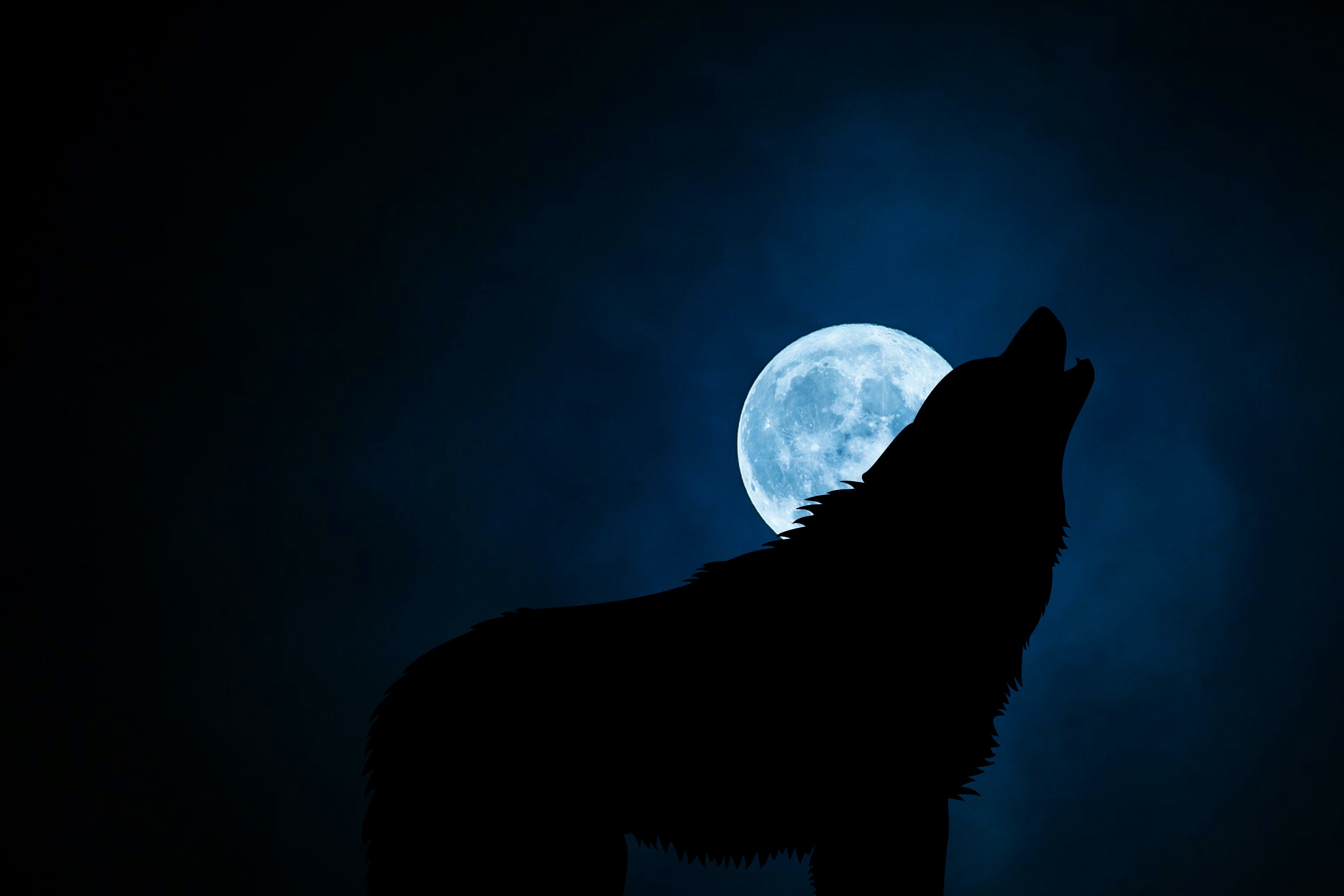 Laden Sie das Silhouette, Übernachtung, Mond, Dunkel, Wolf-Bild kostenlos auf Ihren PC-Desktop herunter