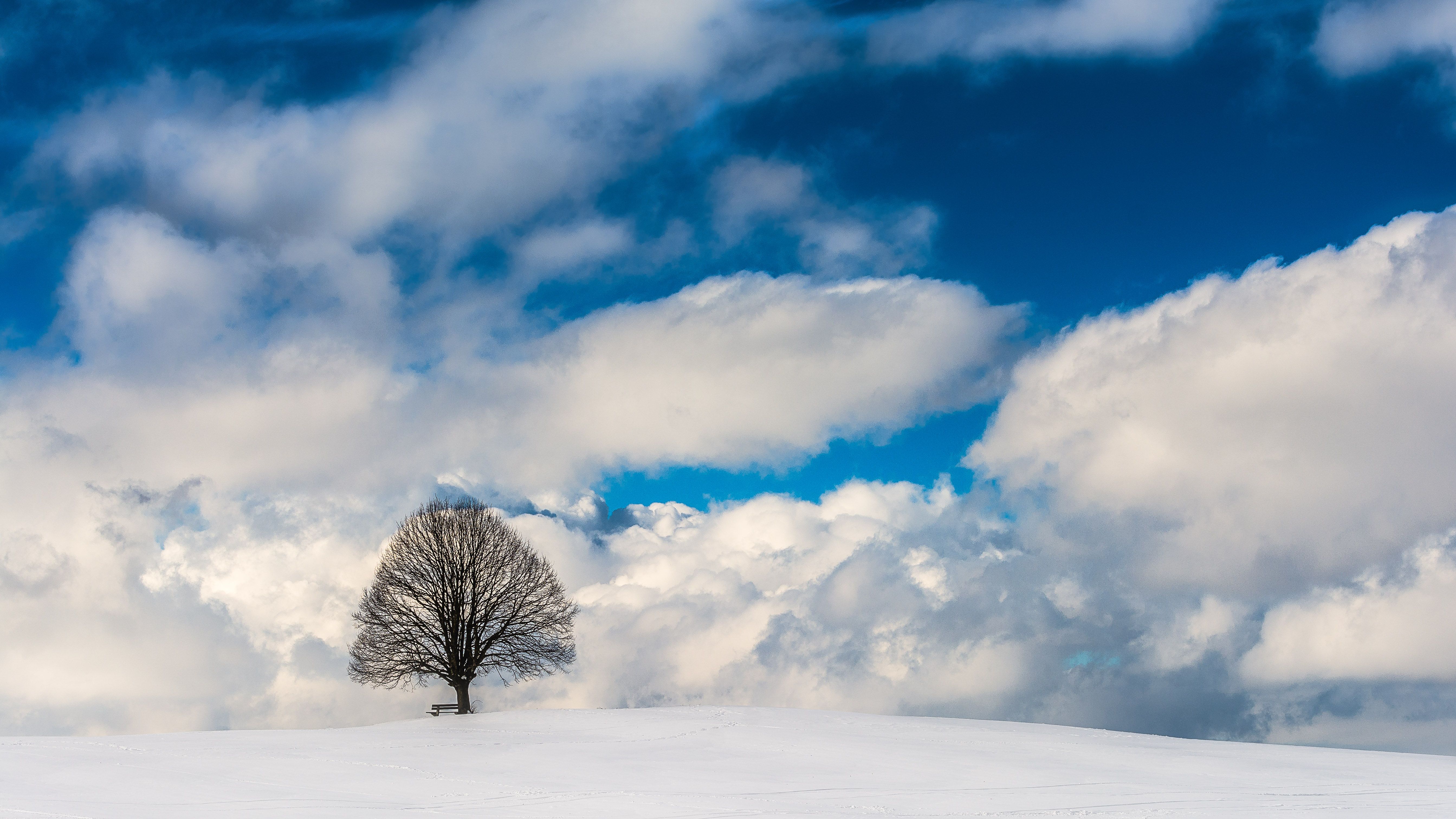 Download mobile wallpaper Winter, Sky, Snow, Tree, Earth, Cloud for free.