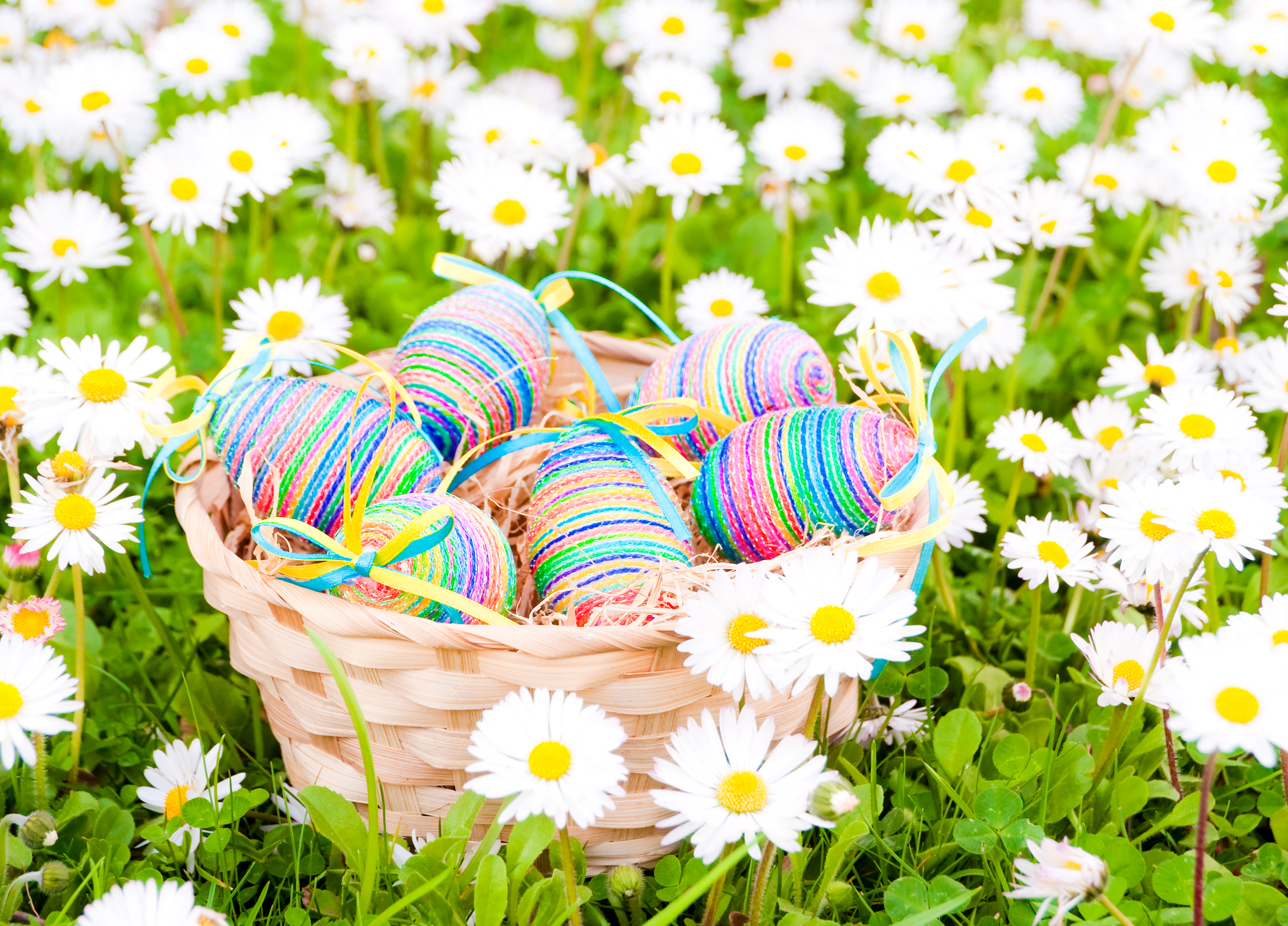 Download mobile wallpaper Easter, Flower, Holiday, Basket, Egg, Daisy, White Flower, Easter Egg for free.