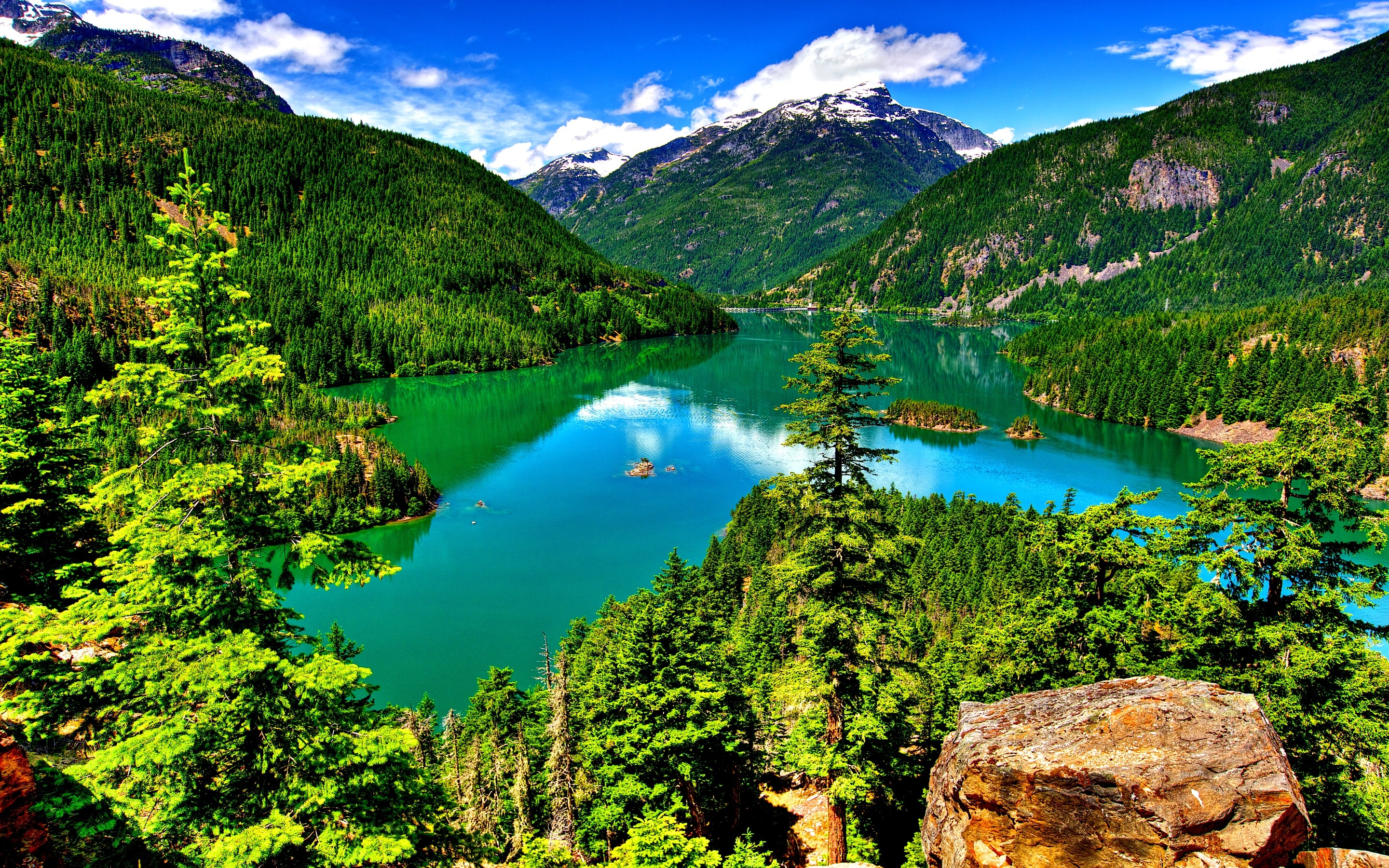 Скачать картинку Пейзаж, Гора, Озеро, Лес, Дерево, Зеленый, Земля/природа в телефон бесплатно.