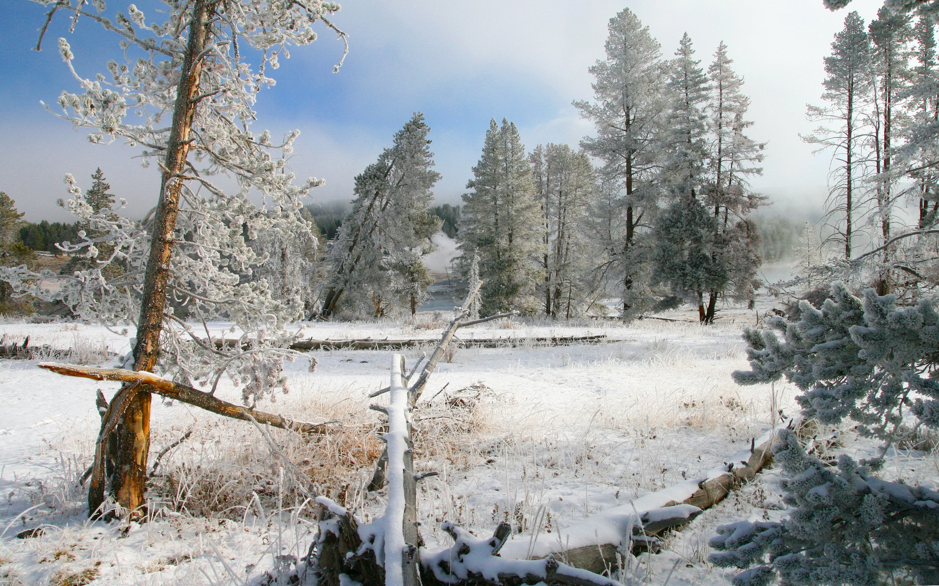 Descarga gratis la imagen Invierno, Tierra/naturaleza en el escritorio de tu PC