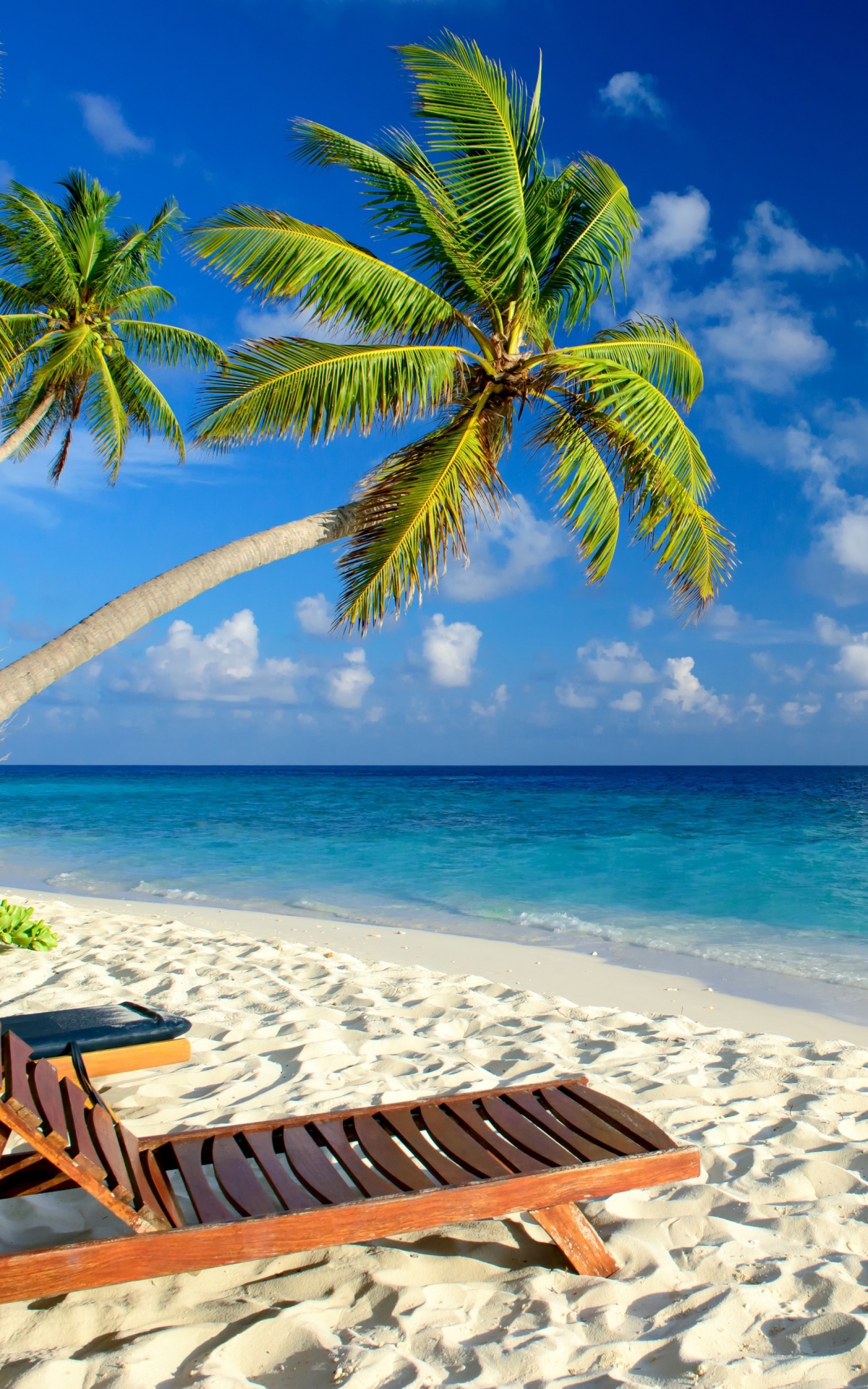 Download mobile wallpaper Beach, Sand, Horizon, Tropics, Photography, Palm Tree for free.