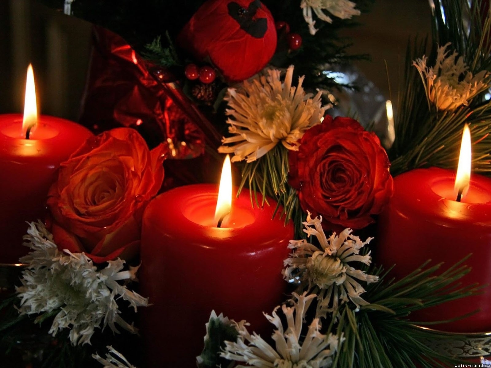Download mobile wallpaper Holidays, New Year, Flowers, Christmas Xmas, Candles for free.
