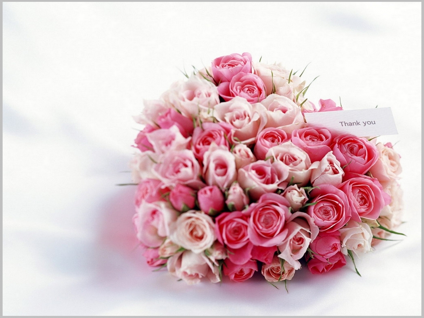 Laden Sie das Pflanzen, Blumen, Bouquets, Hintergrund-Bild kostenlos auf Ihren PC-Desktop herunter