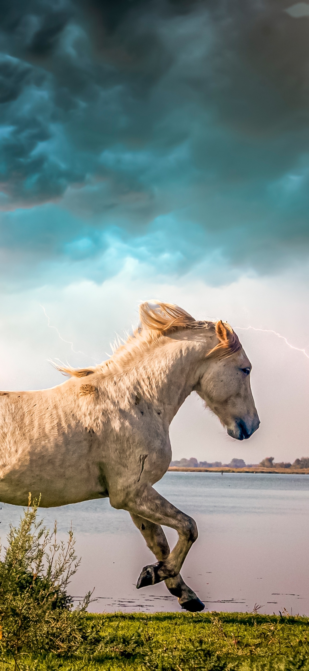 Download mobile wallpaper Lightning, Animal, Horse for free.