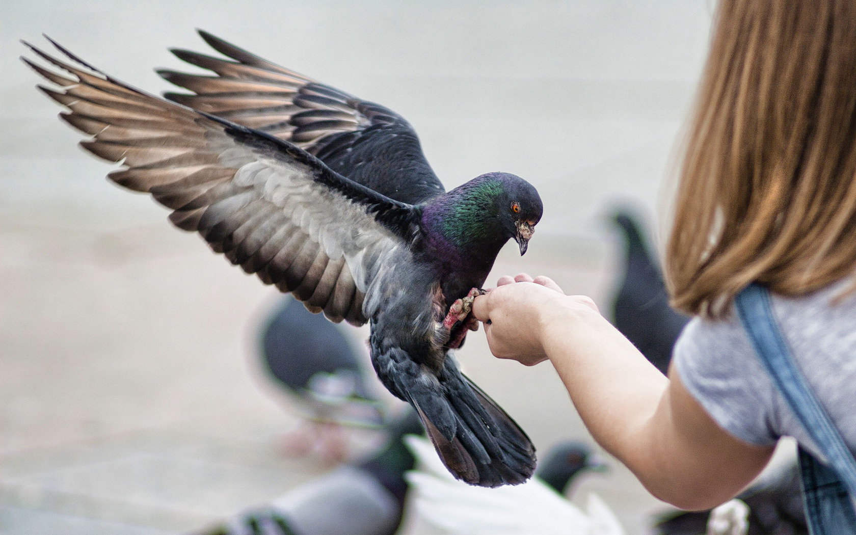 Download mobile wallpaper Bird, Mood, Child, Cute, Photography for free.