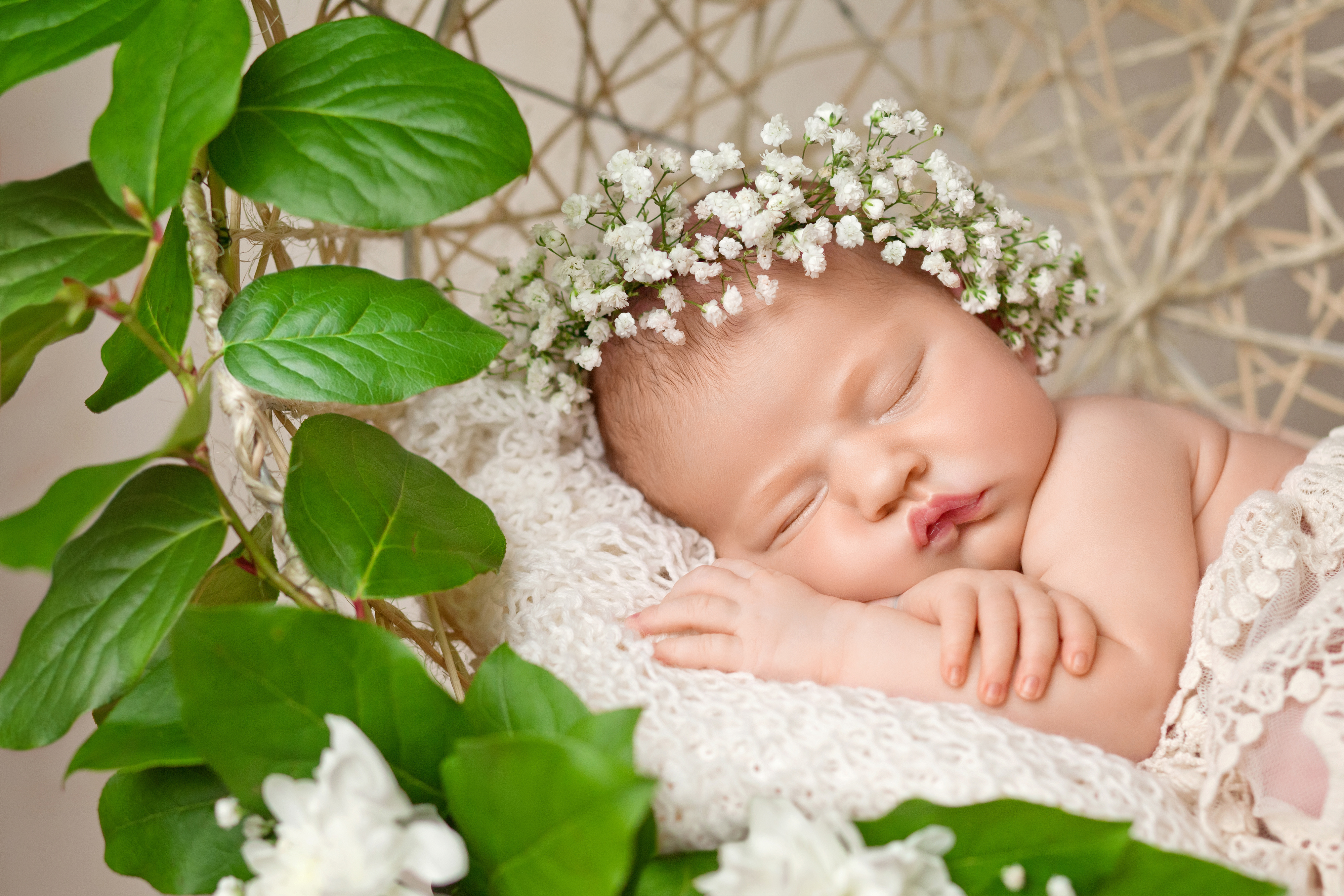 Download mobile wallpaper Flower, Sleeping, Cute, Photography, Baby for free.