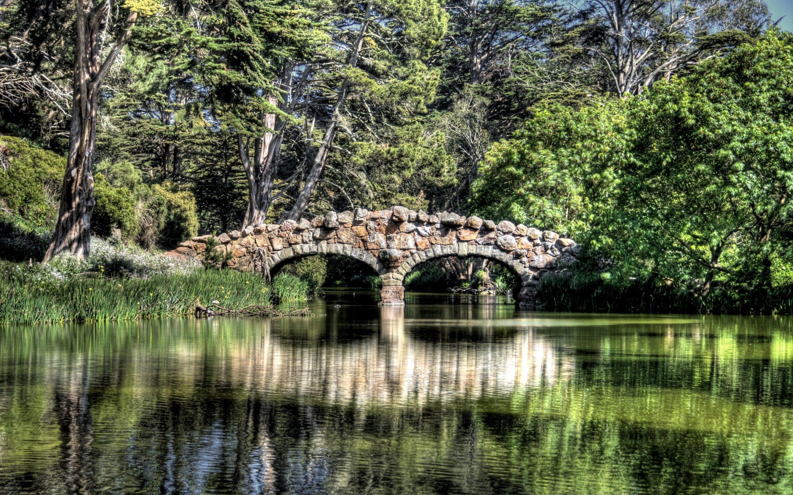 Download mobile wallpaper Reflection, Bridge, Trees, Rivers, Nature for free.