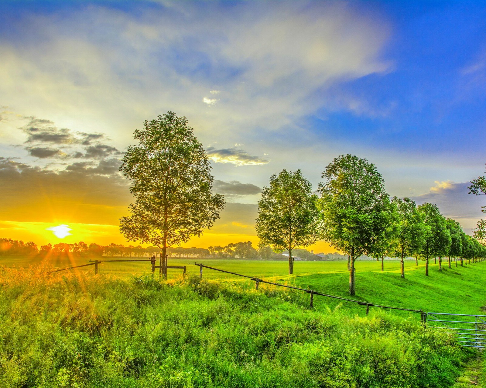 Laden Sie das Landschaft, Sommer, Baum, Himmel, Sonnenuntergang, Erde/natur-Bild kostenlos auf Ihren PC-Desktop herunter