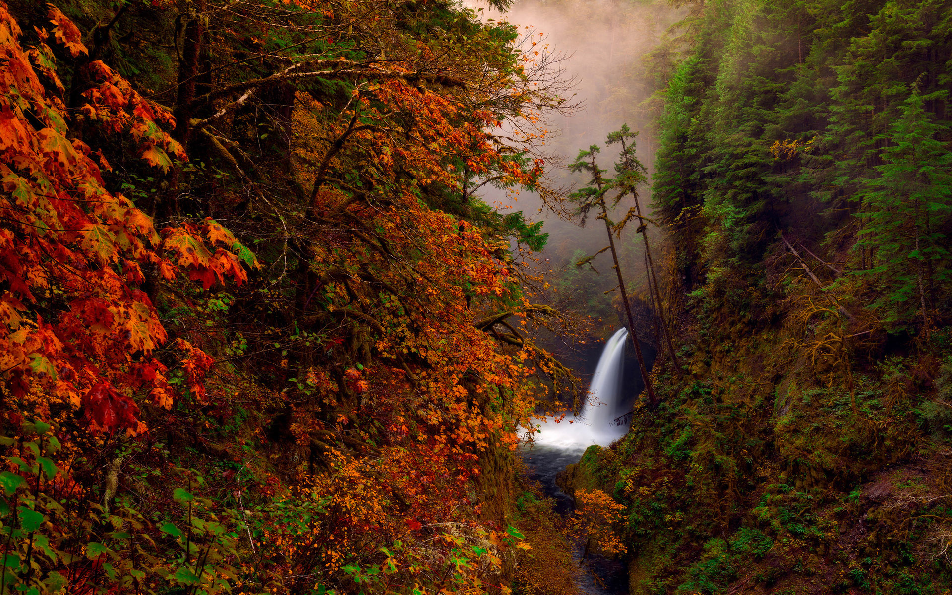 Handy-Wallpaper Herbst, Wasserfälle, Wasserfall, Wald, Baum, Erde/natur kostenlos herunterladen.