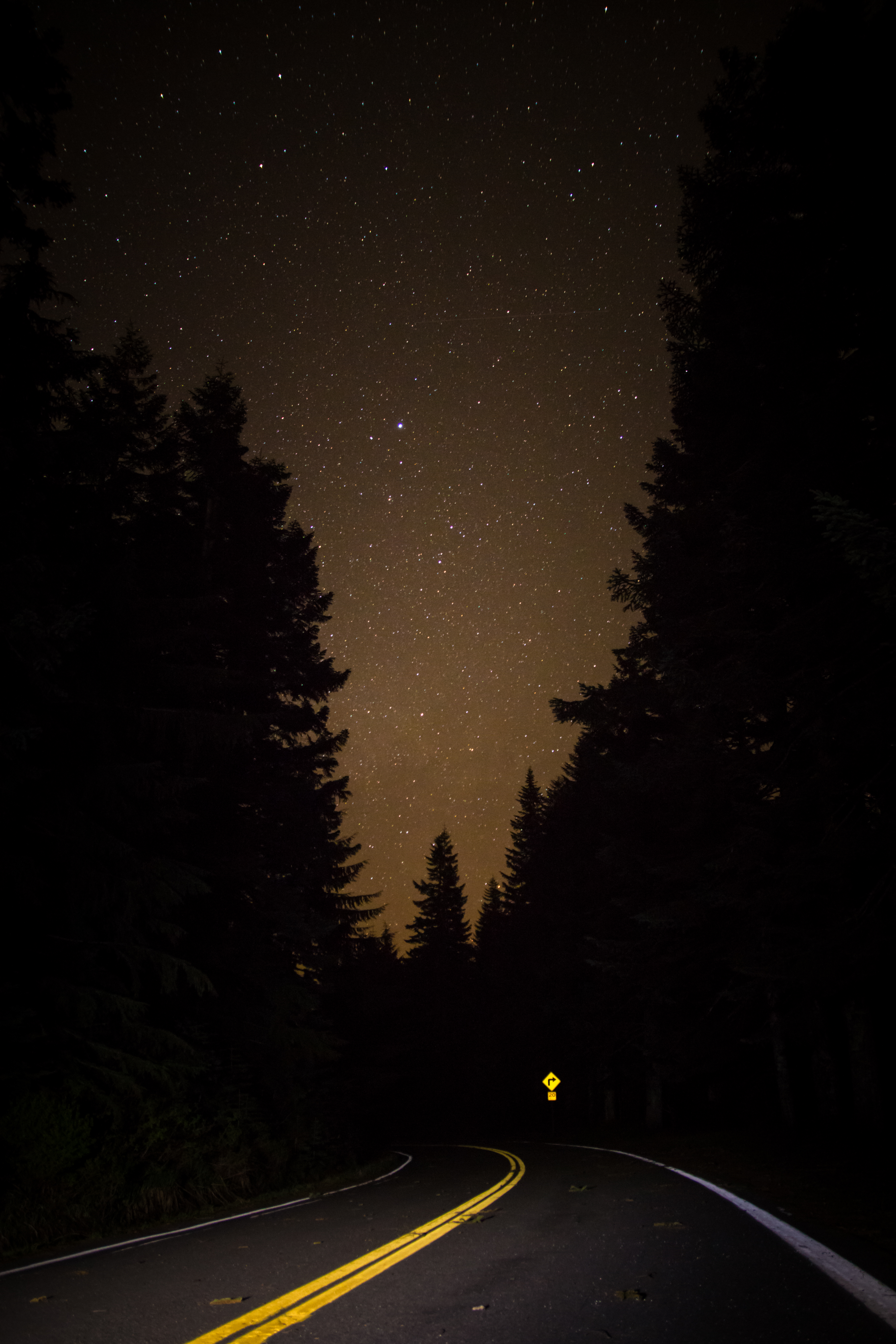 road, dark, night, forest, starry sky High Definition image