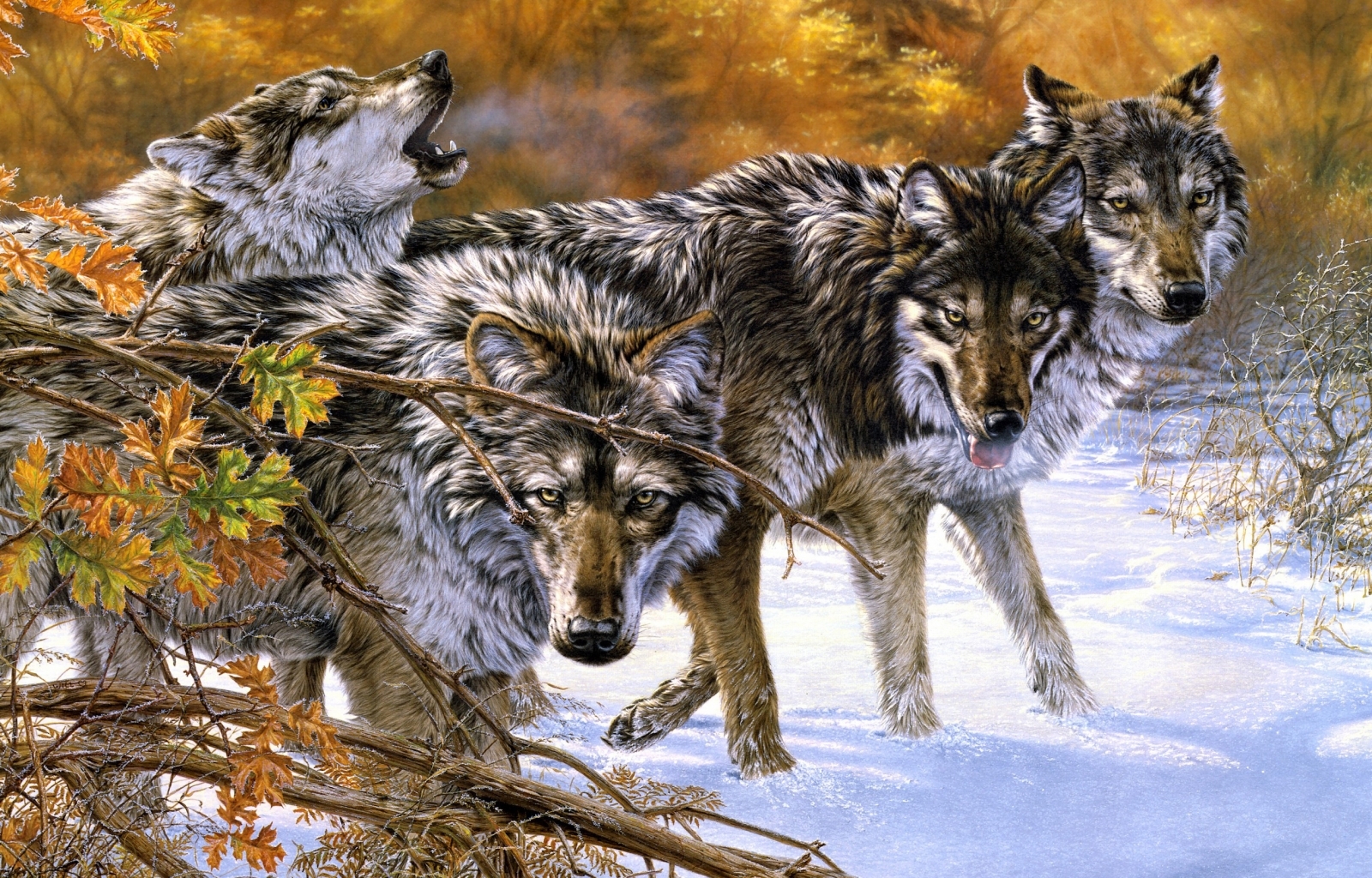 27039 Bild herunterladen wölfe, tiere, schnee, bilder - Hintergrundbilder und Bildschirmschoner kostenlos