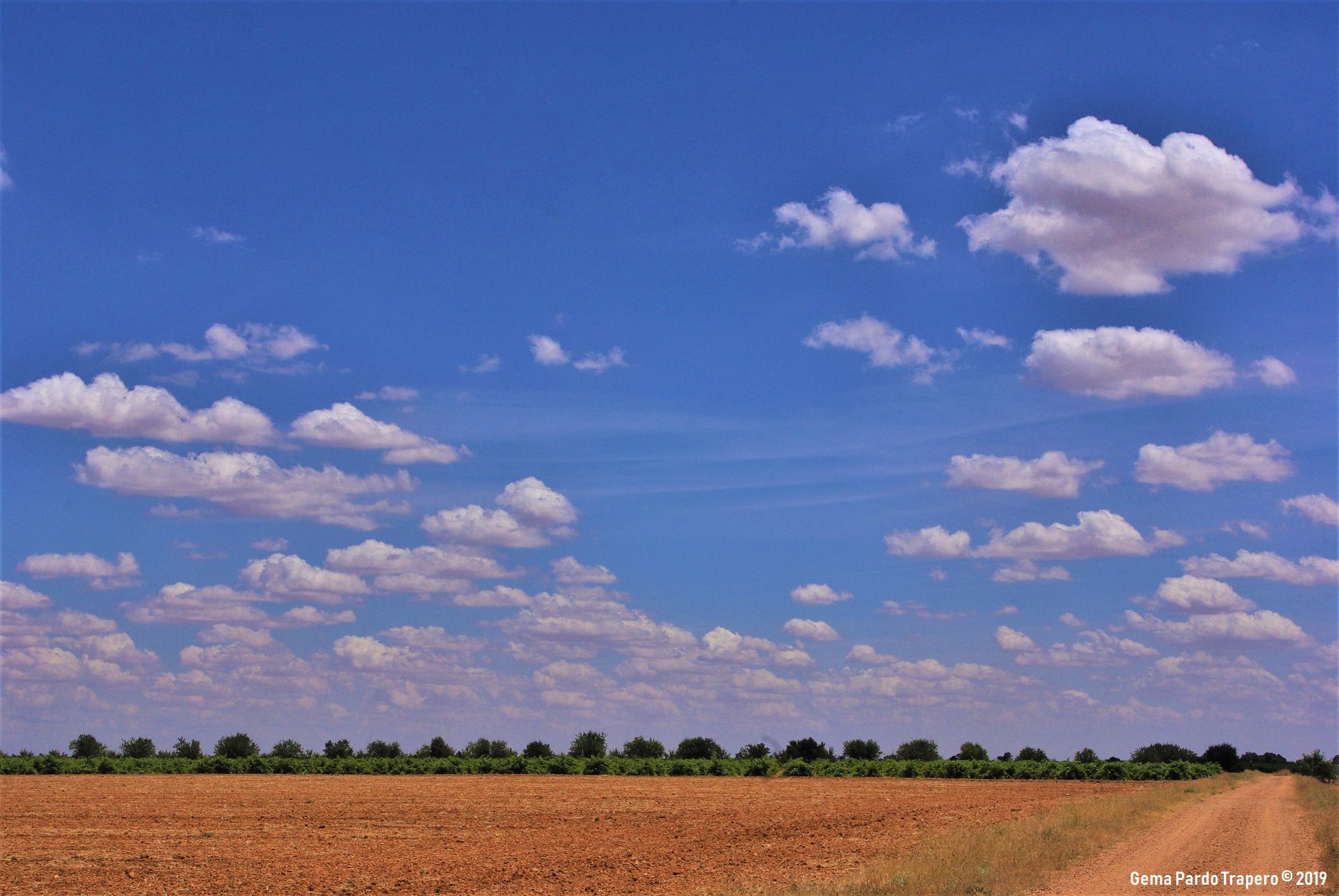 Baixar papel de parede para celular de Natureza, Céu, Campo, Nuvem, Terra/natureza gratuito.