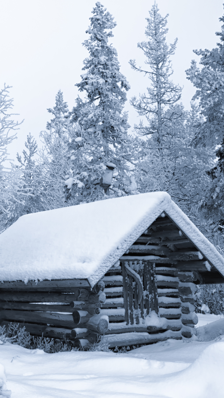 Baixar papel de parede para celular de Inverno, Neve, Floresta, Árvore, Cabana, Feito Pelo Homem gratuito.