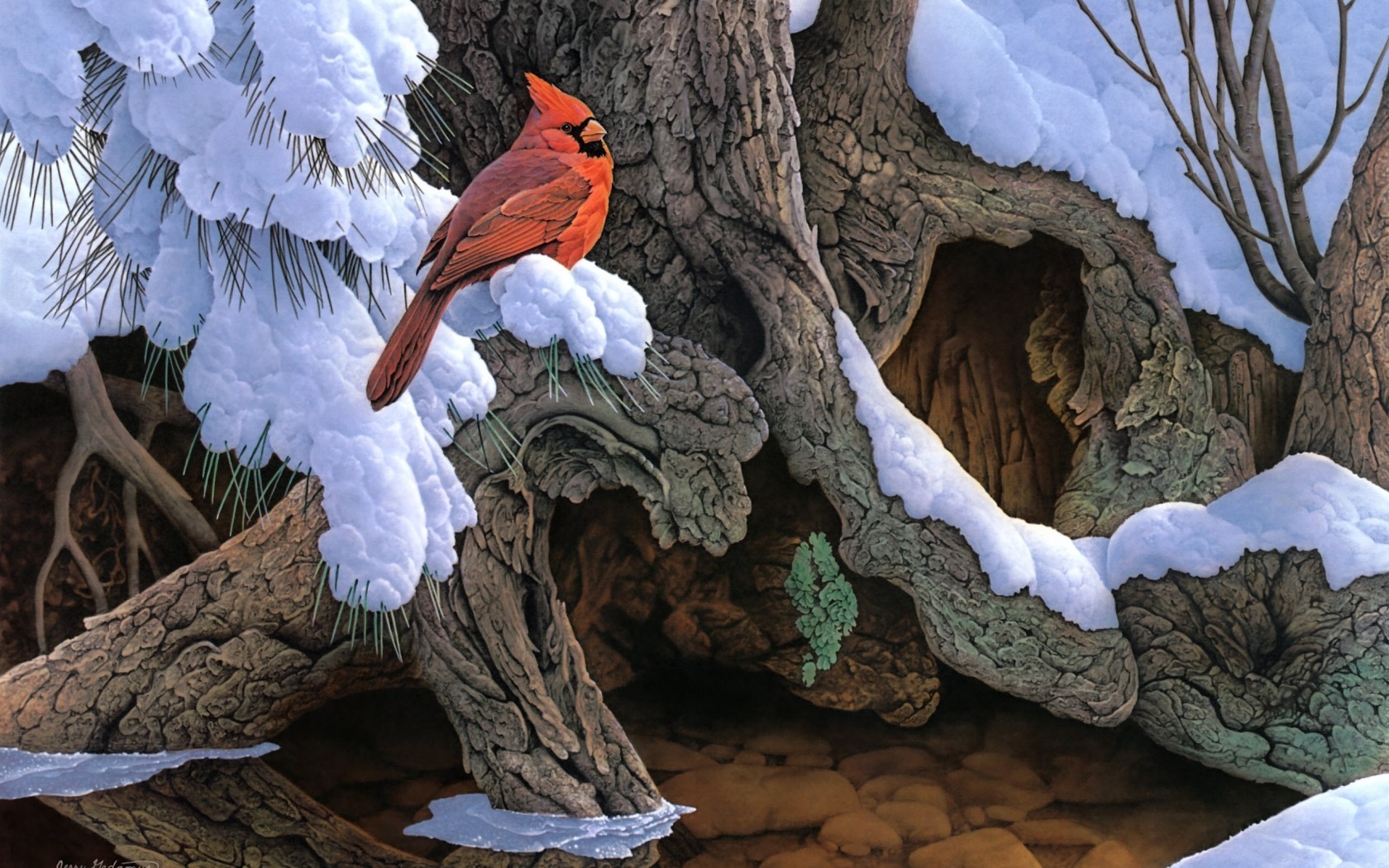 Téléchargez des papiers peints mobile Animaux, Oiseau, Des Oiseaux, Cardinal gratuitement.