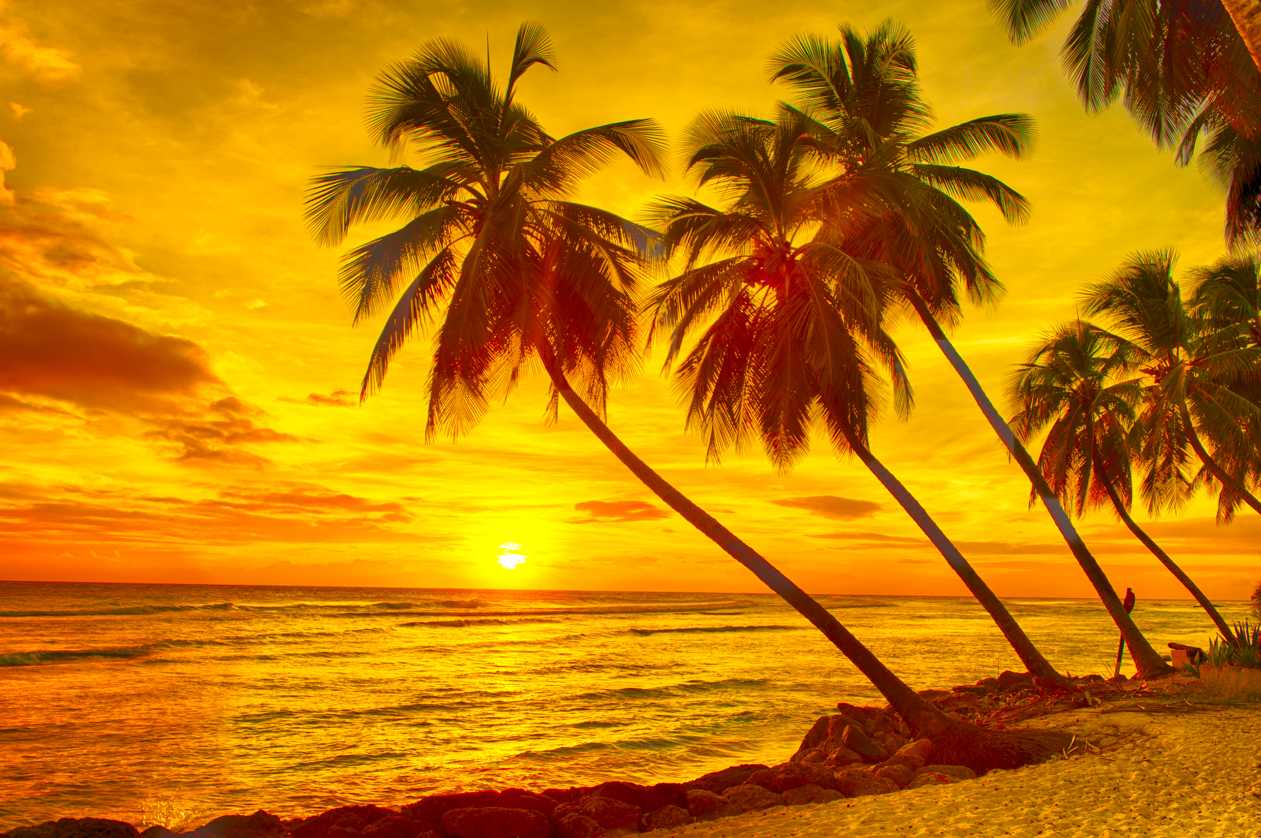 Download mobile wallpaper Nature, Sunset, Sand, Horizon, Ocean, Earth, Palm Tree for free.