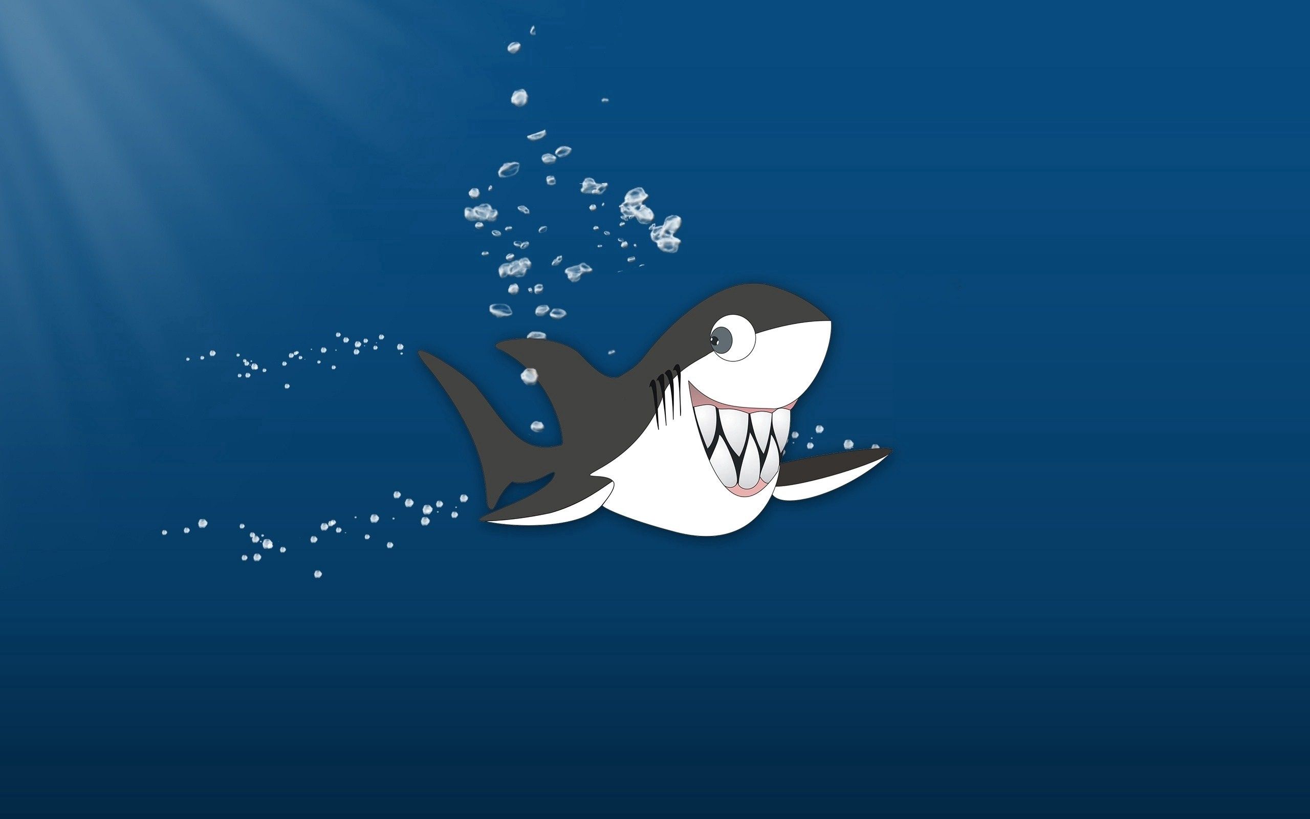 picture, shark, vector, water, drops, drawing 2160p