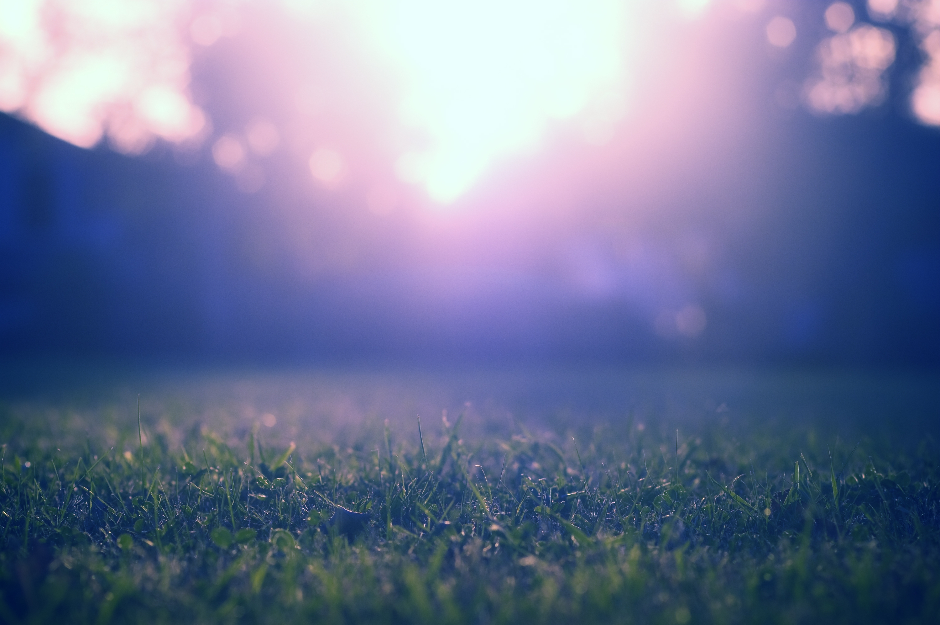 Download mobile wallpaper Grass, Smooth, Macro, Shadow, Glare, Light, Shine, Blur for free.