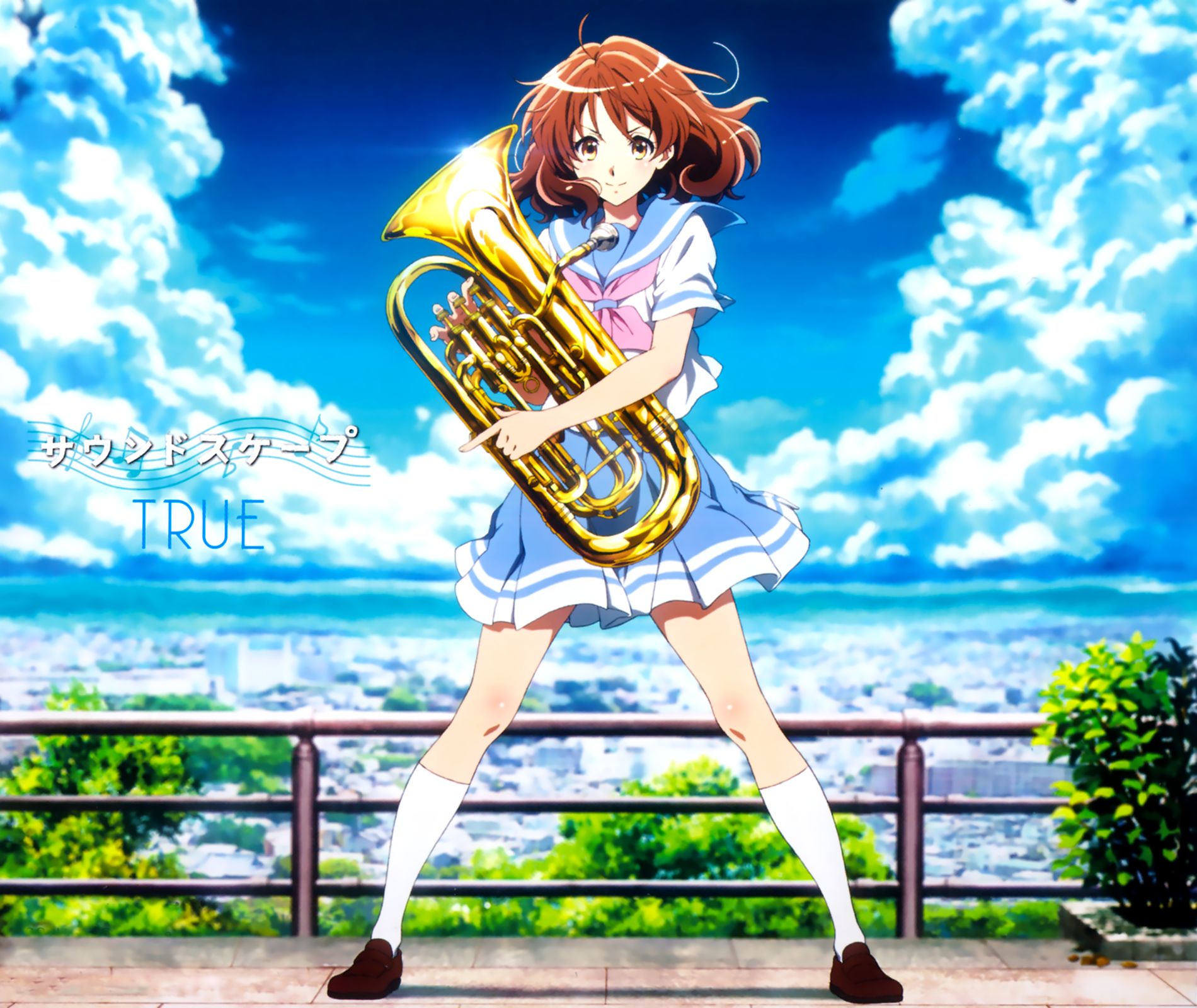 Laden Sie das Animes, Kumiko Oumae, Hibike! Euphonium-Bild kostenlos auf Ihren PC-Desktop herunter