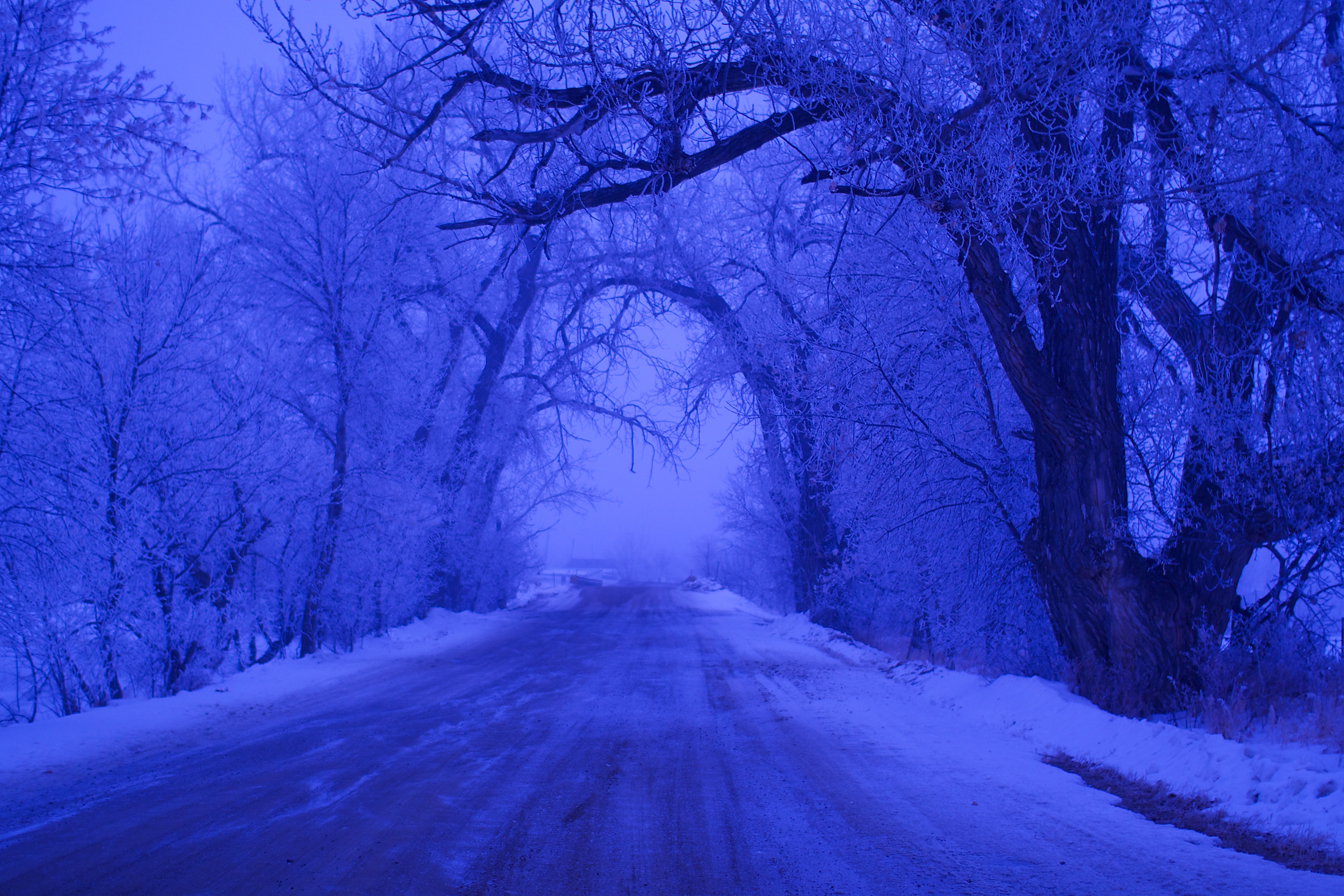 Скачать картинку Зима, Снег, Дорога, Дерево, Туман, Земля/природа в телефон бесплатно.