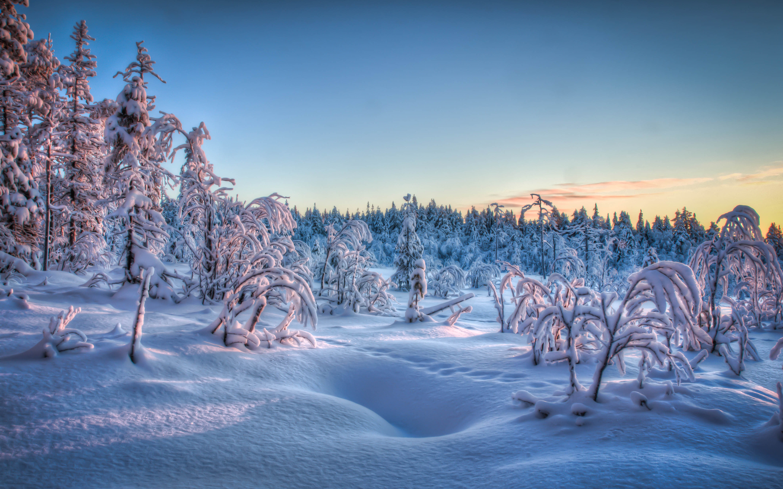 Descarga gratis la imagen Invierno, Tierra/naturaleza en el escritorio de tu PC