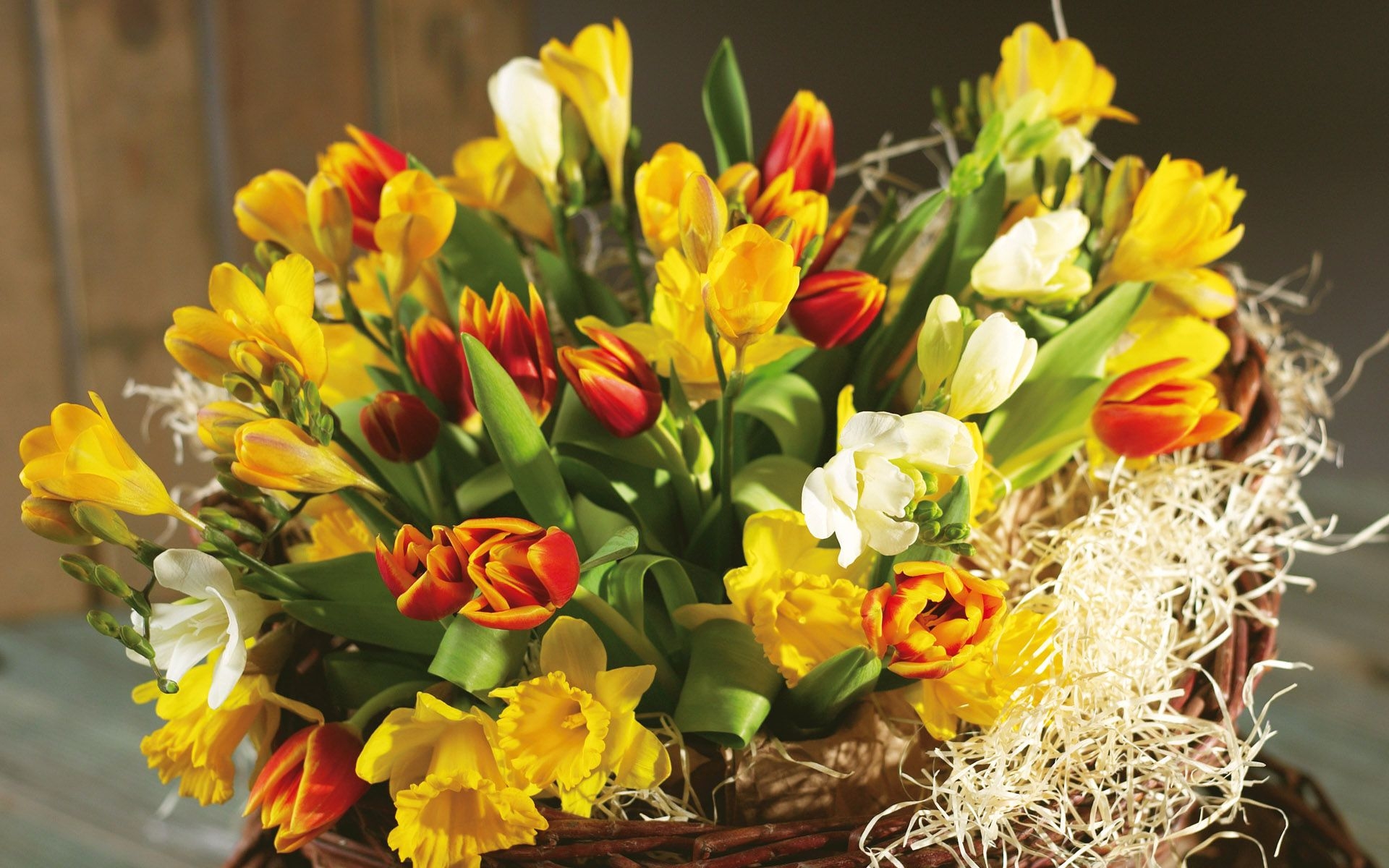 Téléchargez gratuitement l'image Fleur, Tulipe, Construction Humaine, Jonquille sur le bureau de votre PC