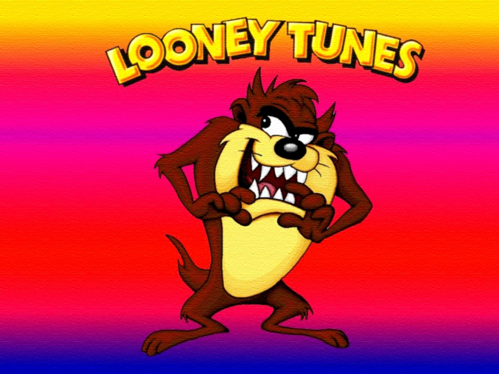 313695 baixar papel de parede programa de tv, looney tunes, diabo da tasmânia (looney tunes) - protetores de tela e imagens gratuitamente
