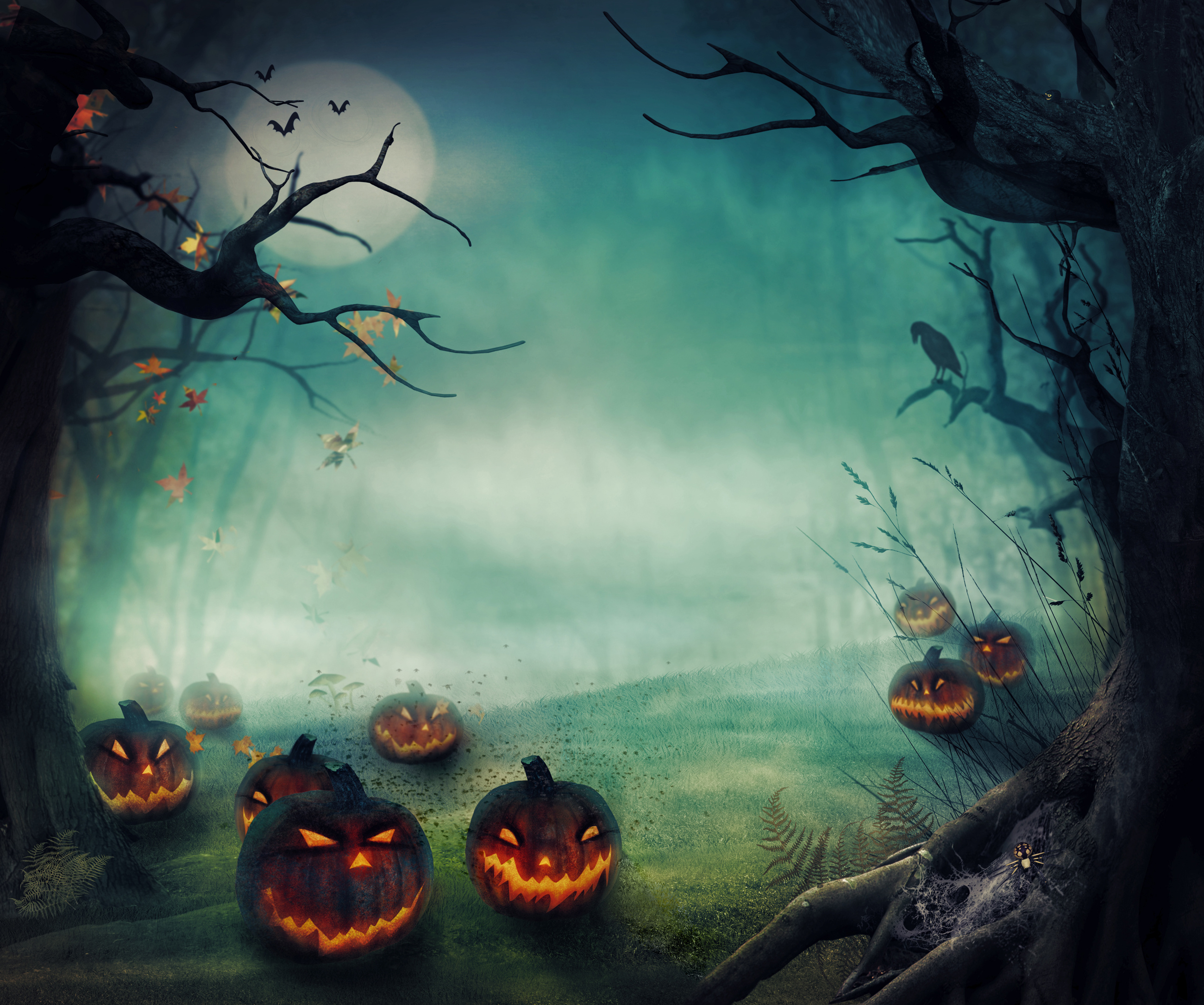 Free download wallpaper Halloween, Night, Holiday, Jack O' Lantern on your PC desktop