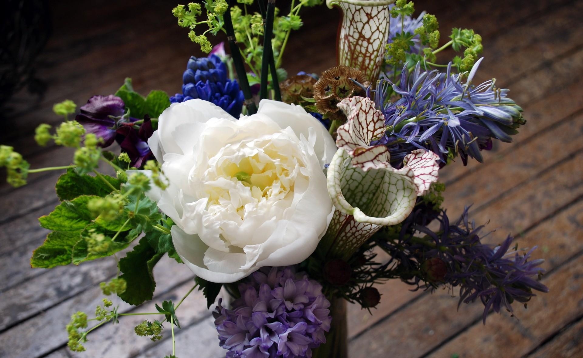 flowers, bouquet, pion, peony, scabiosa stellate, star studded scabis