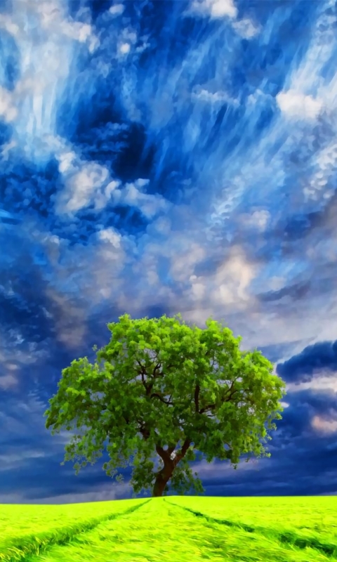 Скачать картинку Деревья, Небо, Облака, Дерево, Земля, Поле, Зеленый, Облако, Земля/природа, Одинокое Дерево в телефон бесплатно.